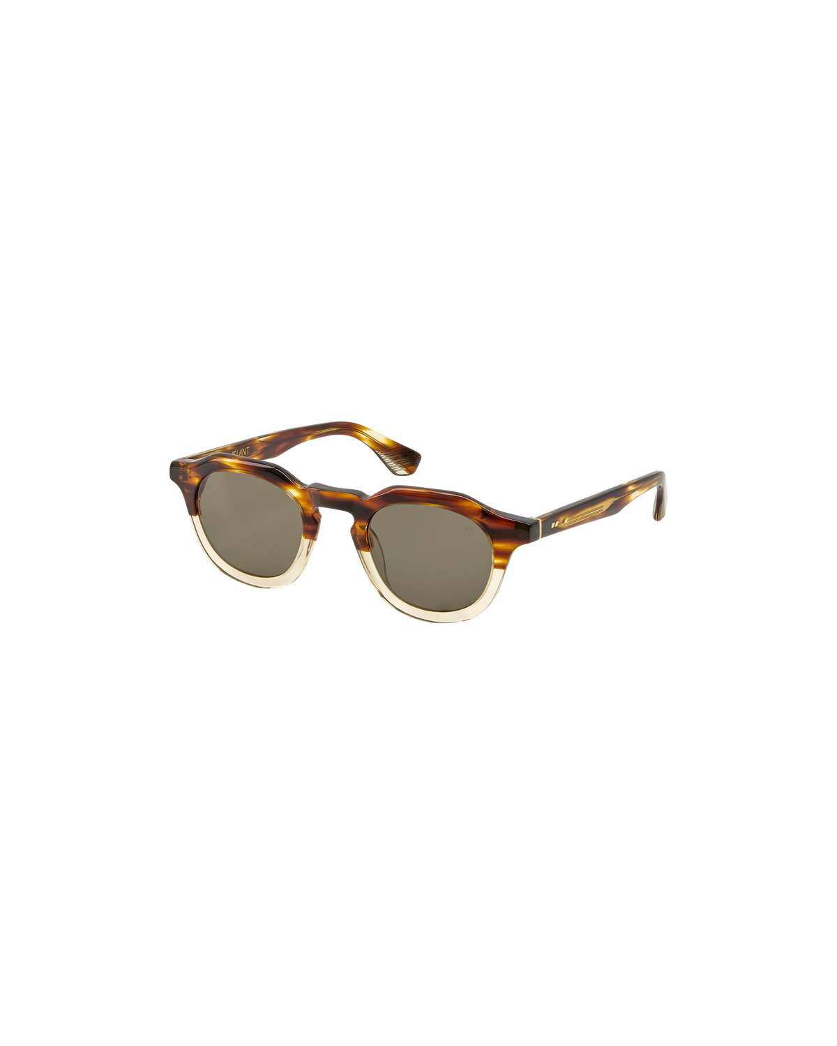 JEAN: Redondas Acetato Havana sunglasses by ATLANT 9256