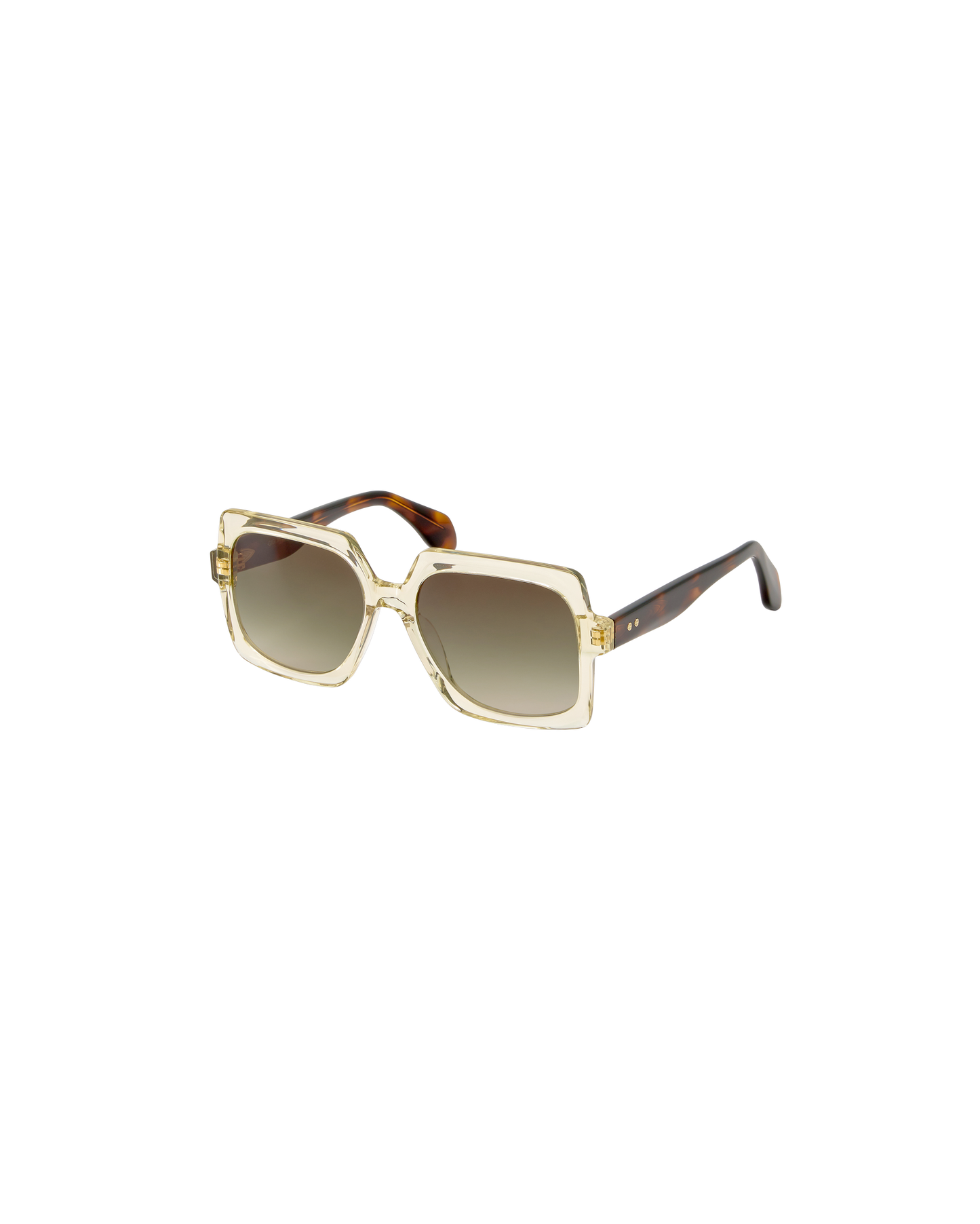 ELINA: Cuadrada Acetato Transparente sunglasses by GIGI STUDIOS 8756