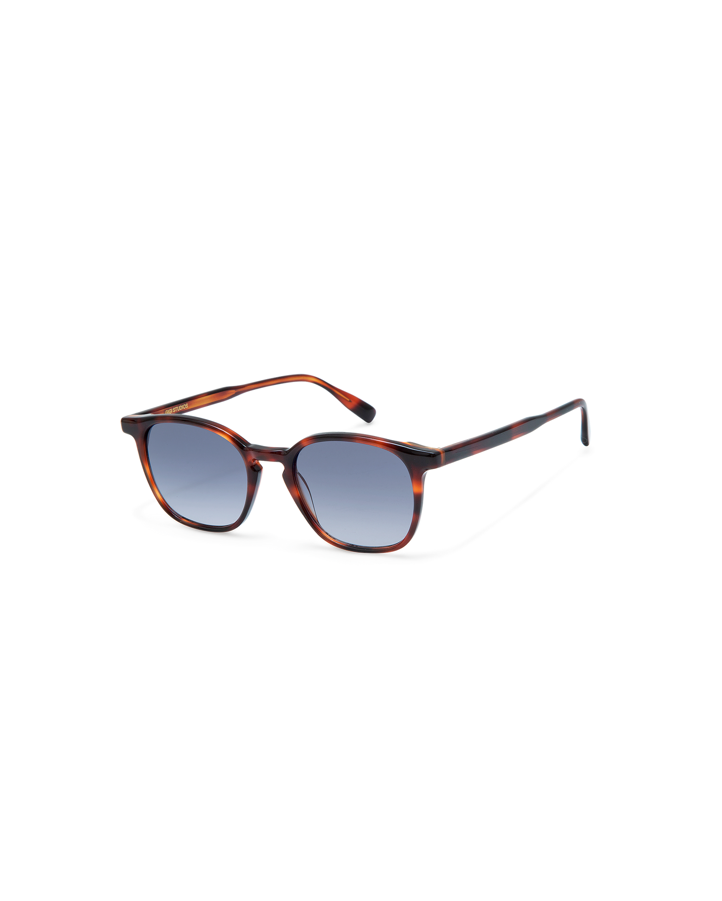 LEWIS: Redondas Acetato Havana sunglasses by GIGI STUDIOS 8815