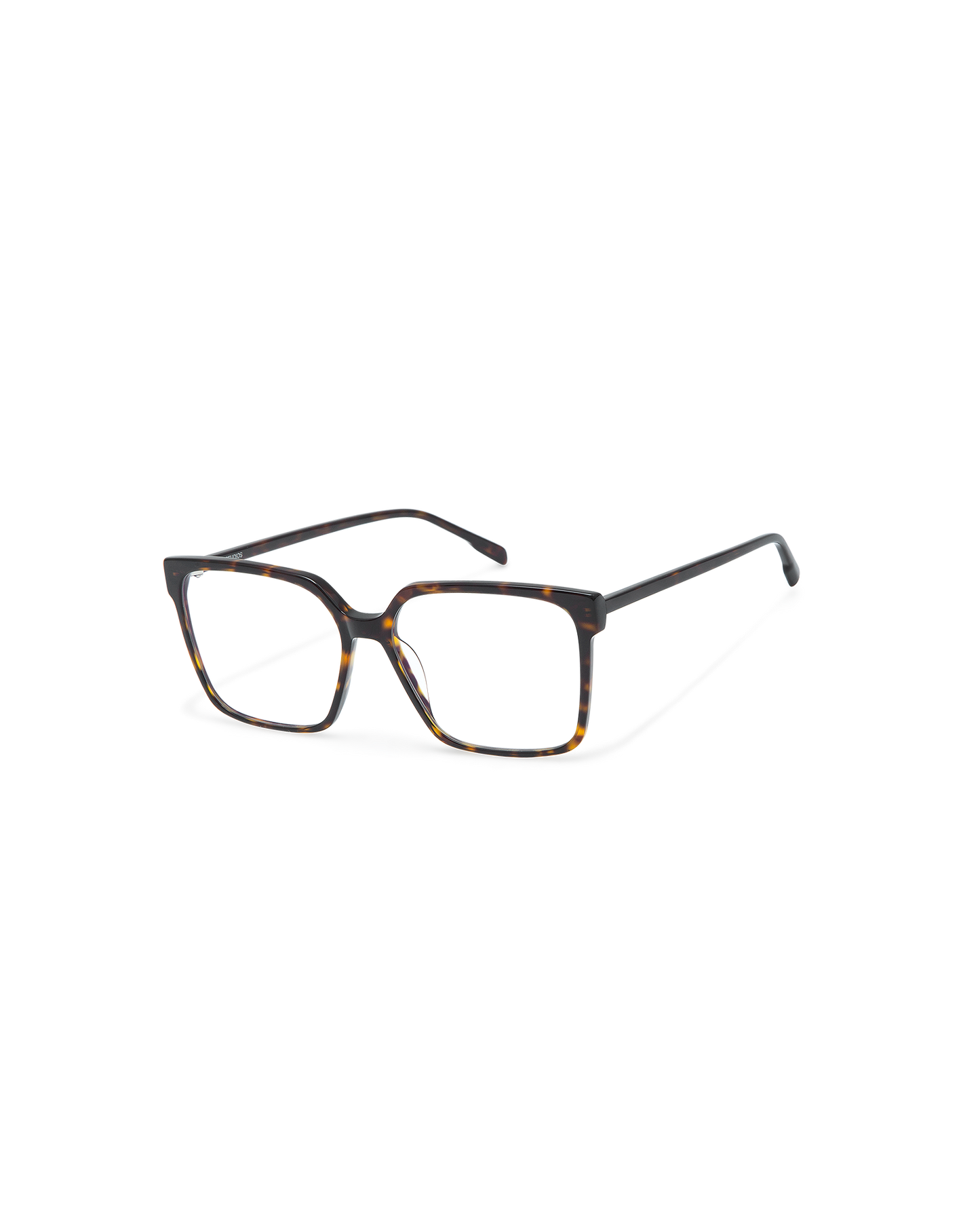 ARIX: Cat Eye Acetato Havana optical glasses by GIGI STUDIOS 10798