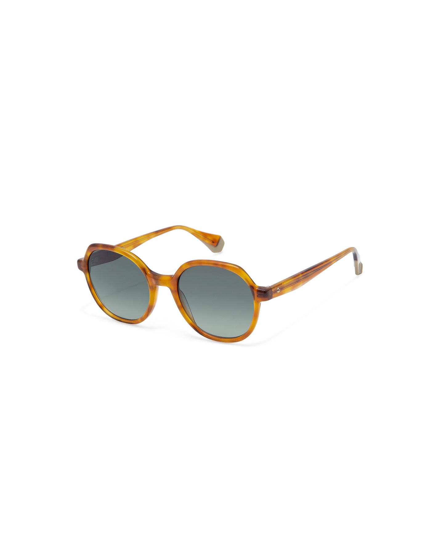 VAUGHN: Redondas Acetato Havana sunglasses by GIGI STUDIOS 3861