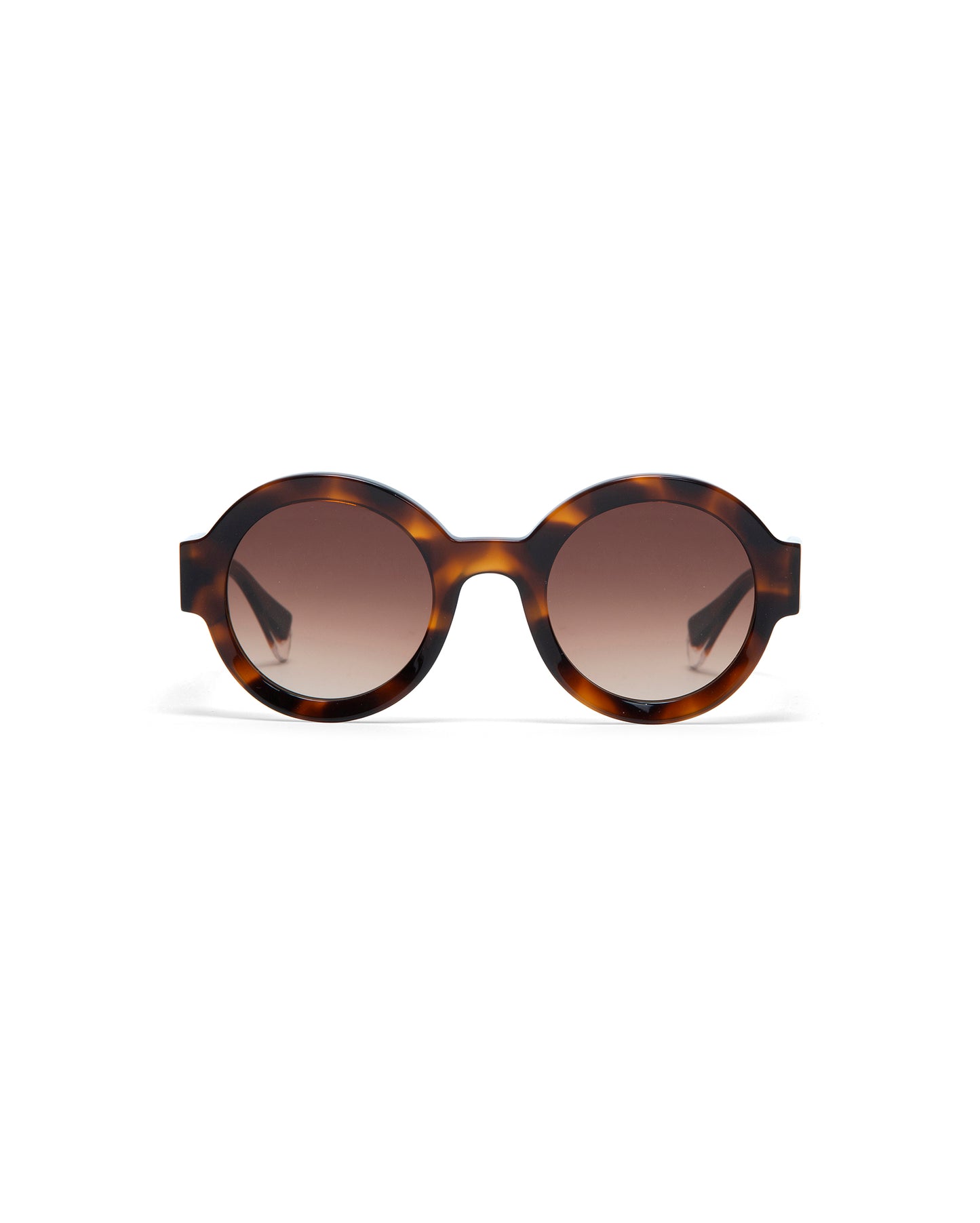 LAURA: Redondas Acetato Havana sunglasses by GIGI STUDIOS 1651