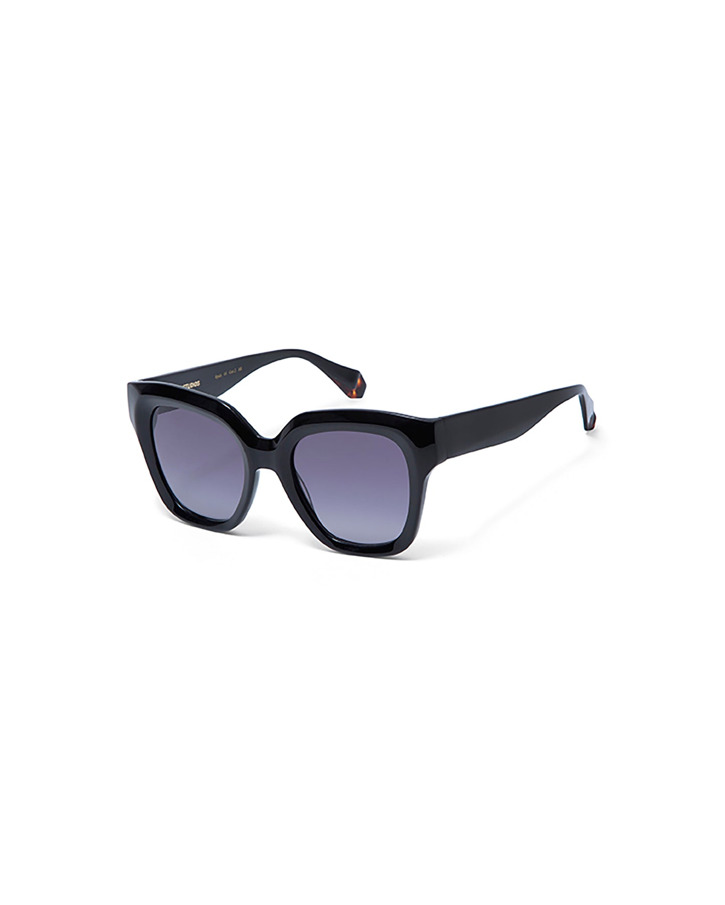 LOUISE: Cuadrada Acetato Noir sunglasses by GIGI STUDIOS 1727