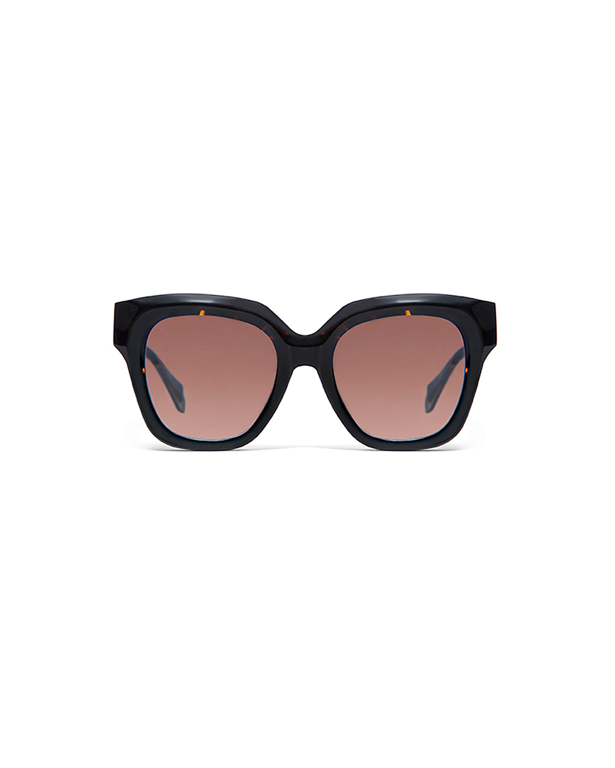 LOUISE: Cuadrada Acetato Havana sunglasses by GIGI STUDIOS 1731