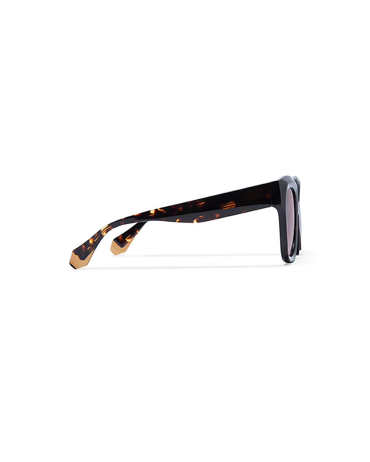 LOUISE: Cuadrada Acetato Havana sunglasses by GIGI STUDIOS 1735