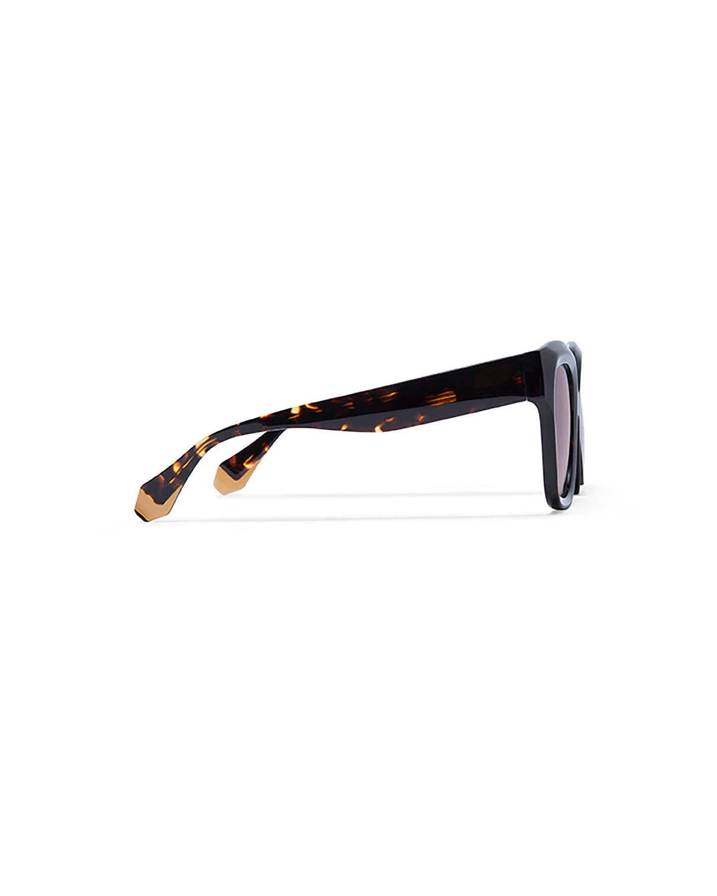 LOUISE: Cuadrada Acetato Havana sunglasses by GIGI STUDIOS 1735