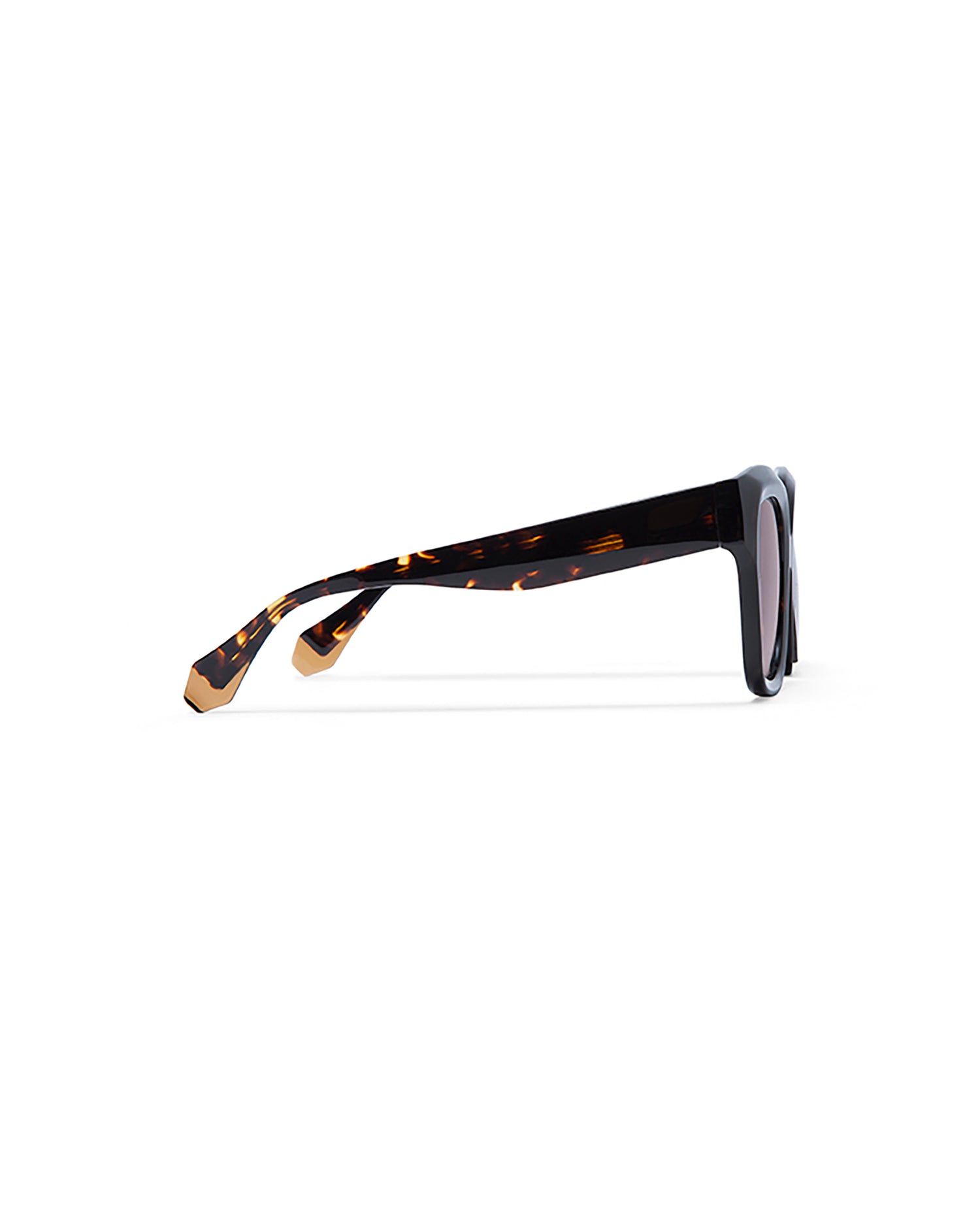 LOUISE: Cuadrada Acetato Havana sunglasses by GIGI STUDIOS 1735