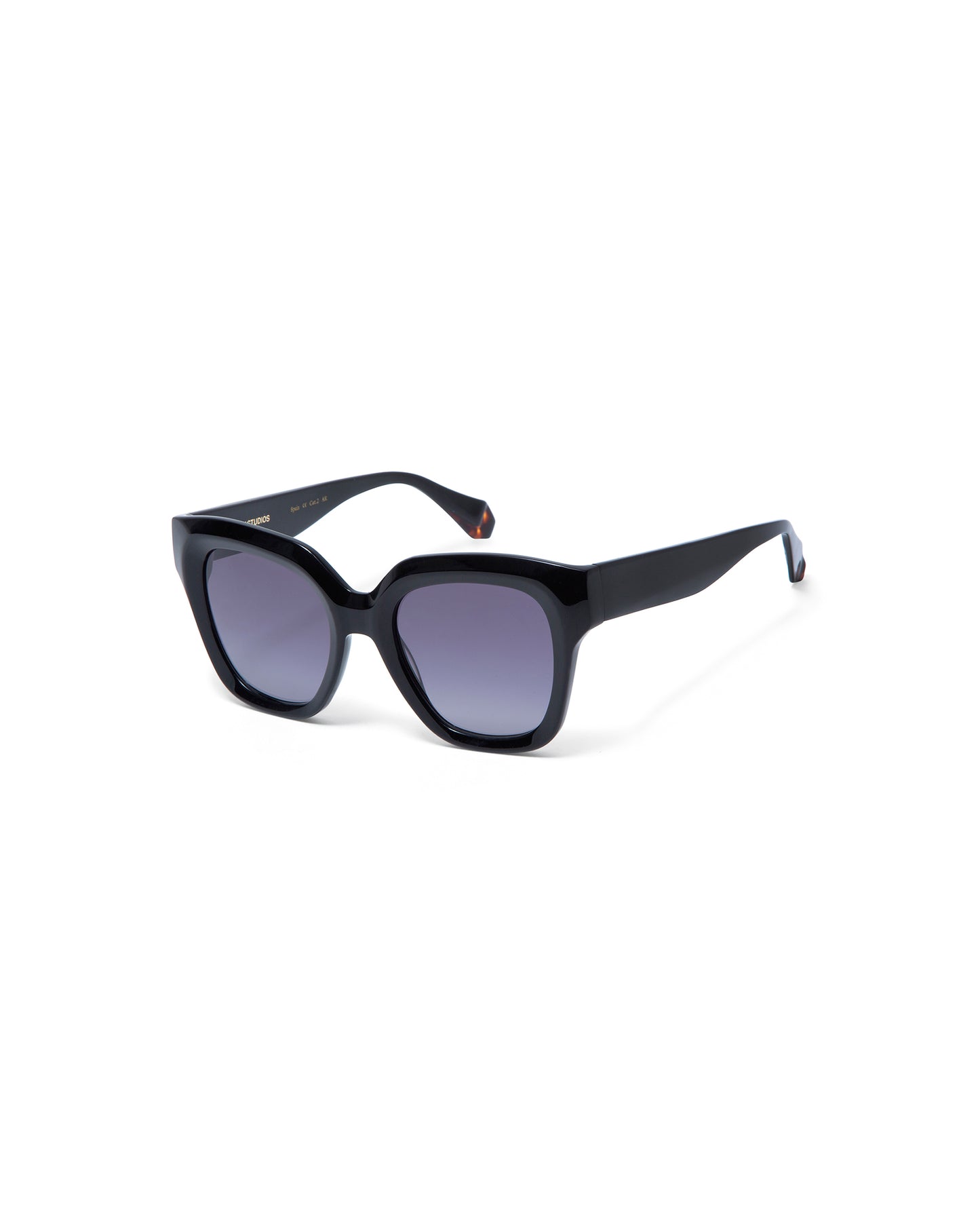 LOUISE: Cuadrada Acetato Noir sunglasses by GIGI STUDIOS 1745