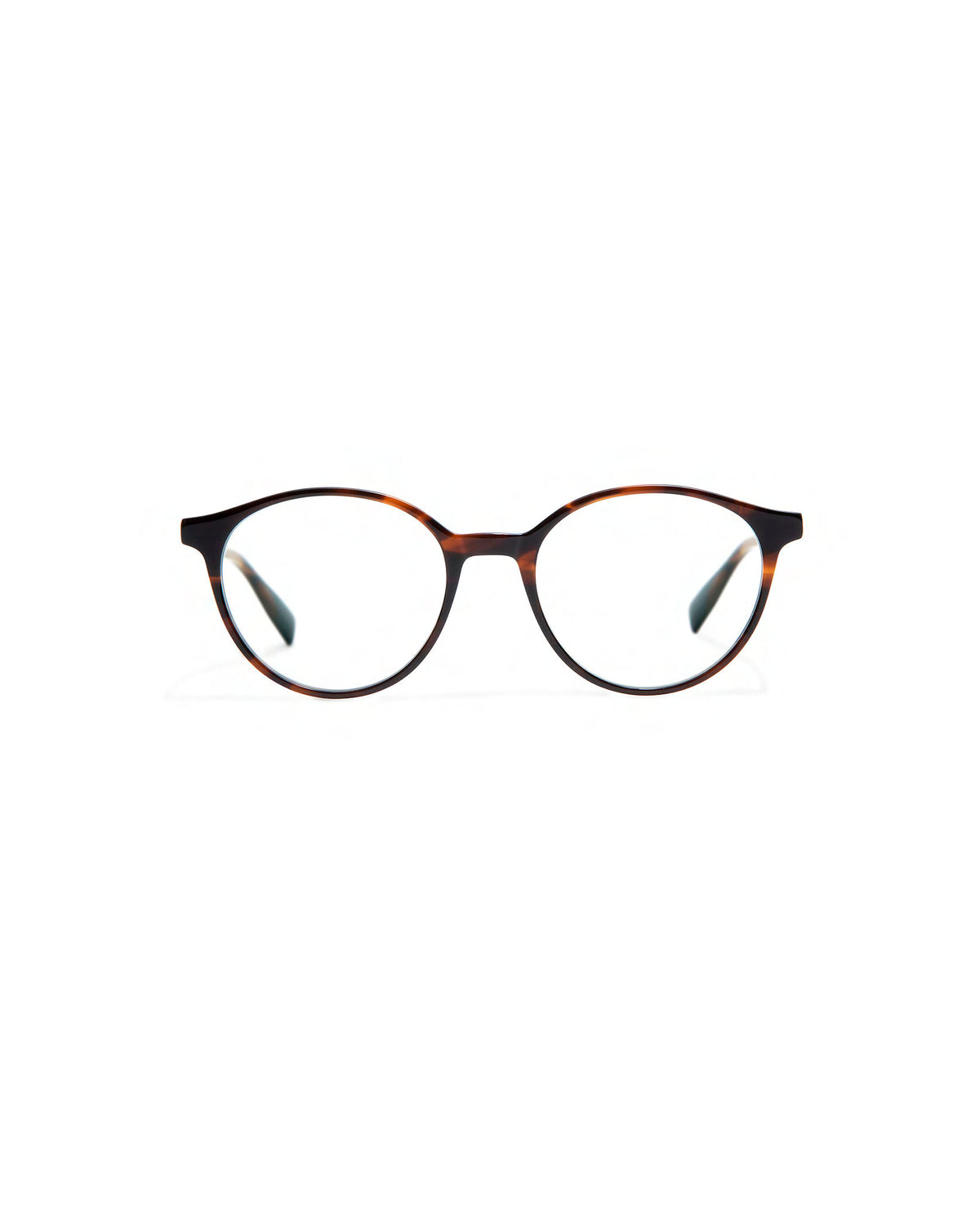 BROOKS XL: Redondas Acetato Havana optical glasses by GIGI STUDIOS 456