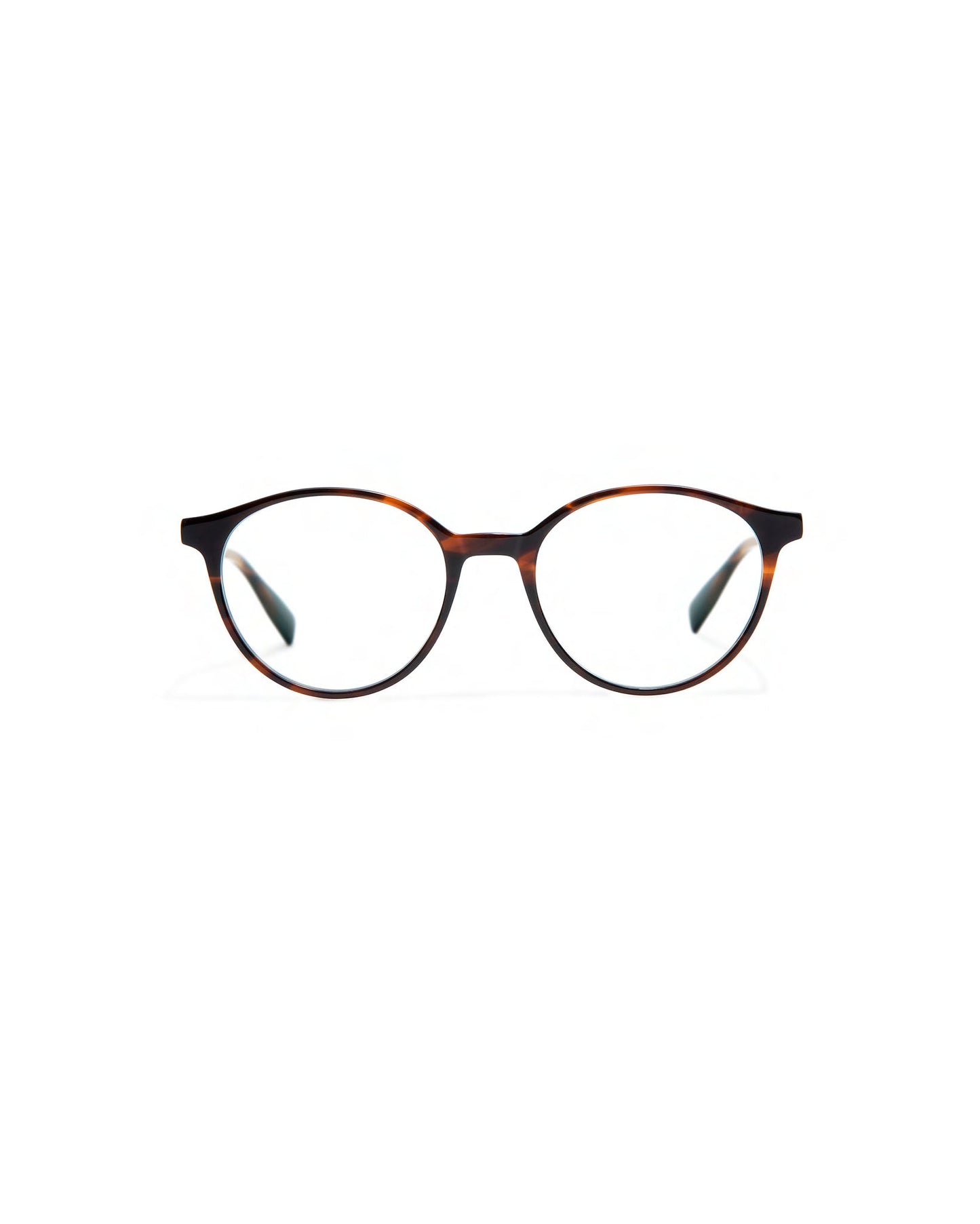 BROOKS XL: Redondas Acetato Havana optical glasses by GIGI STUDIOS 456