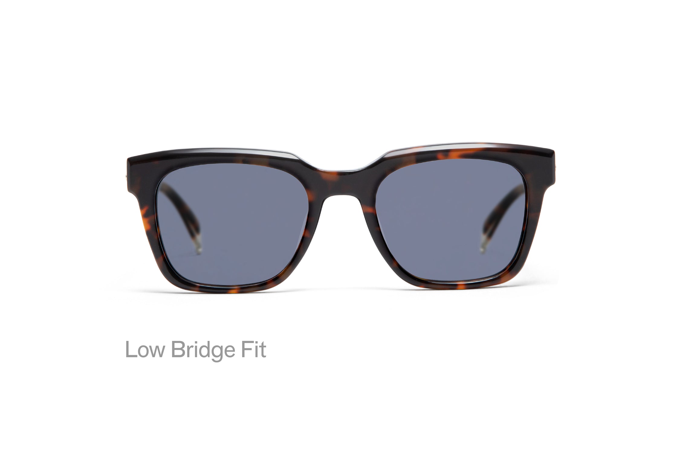WRIGHT: Cuadrada Acetato Havana sunglasses by GIGI STUDIOS 3177