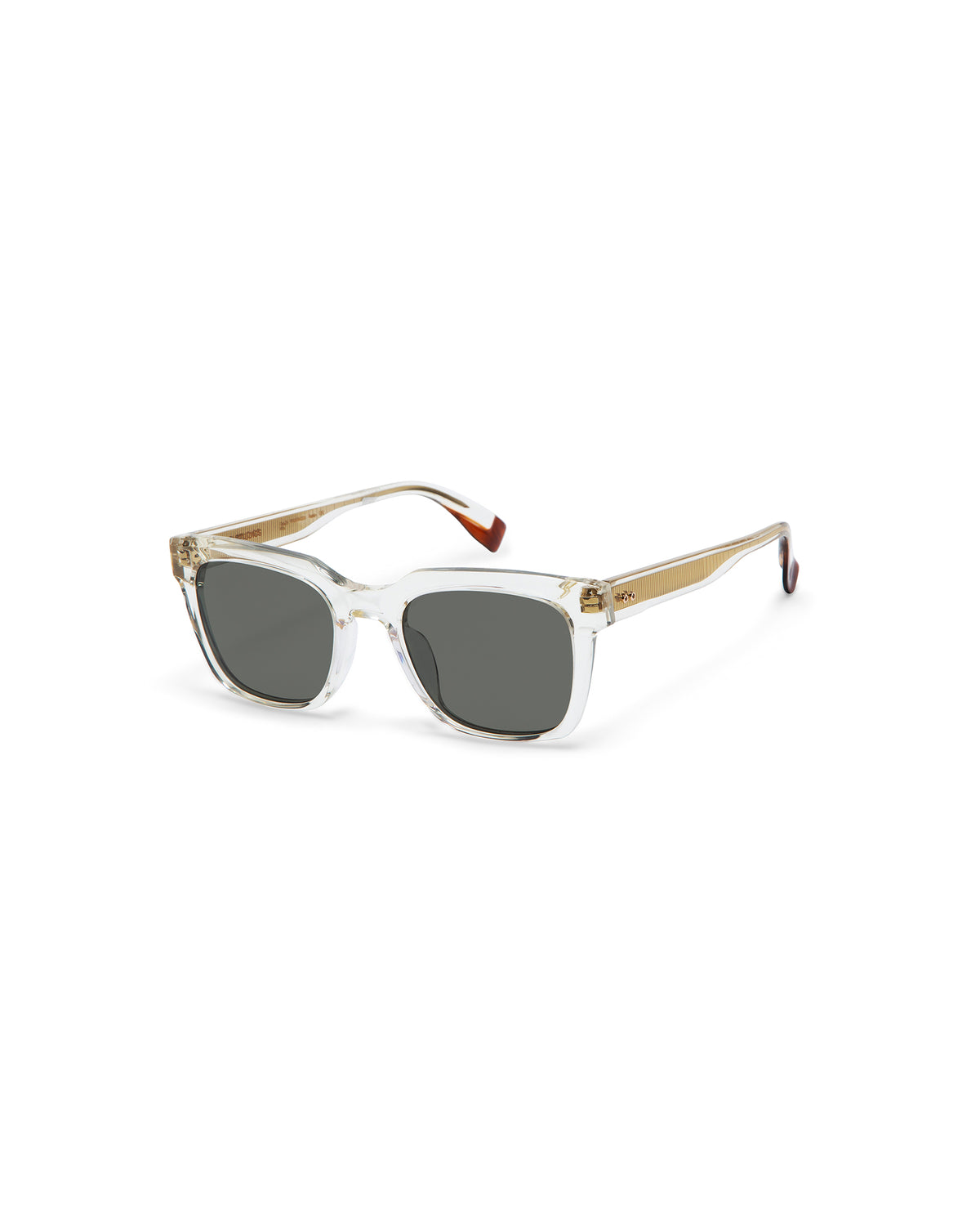 WRIGHT: Cuadrada Acetato Transparente sunglasses by GIGI STUDIOS 3181