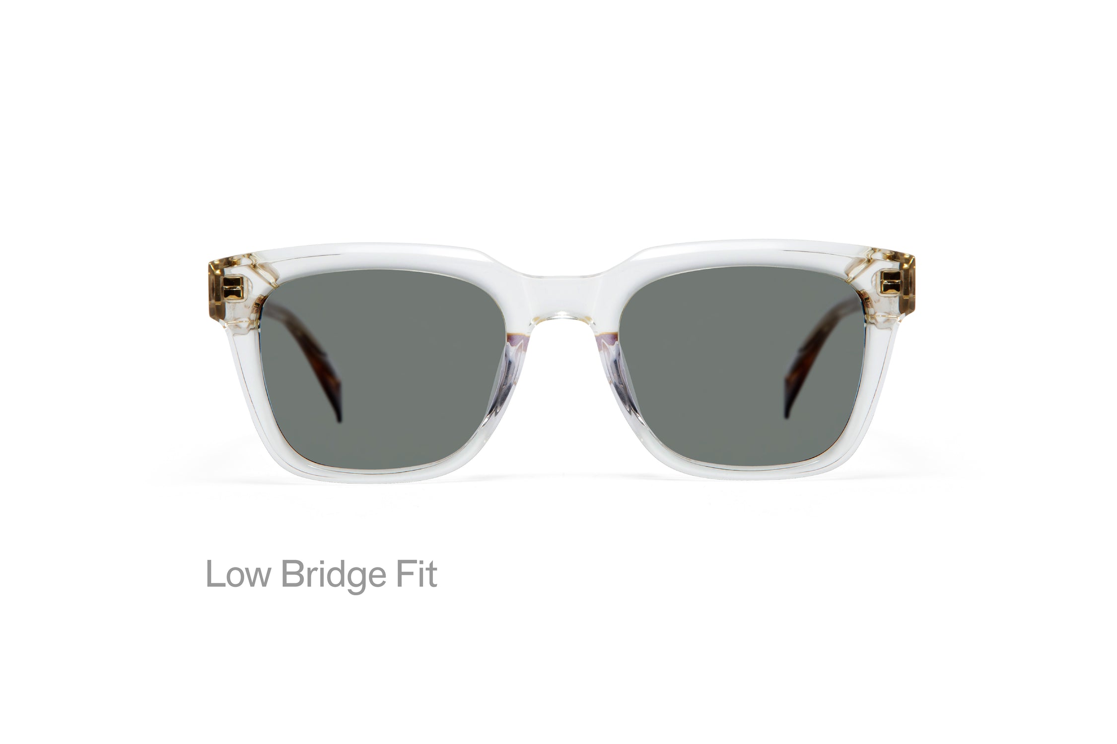 WRIGHT: Cuadrada Acetato Transparente sunglasses by GIGI STUDIOS 3182