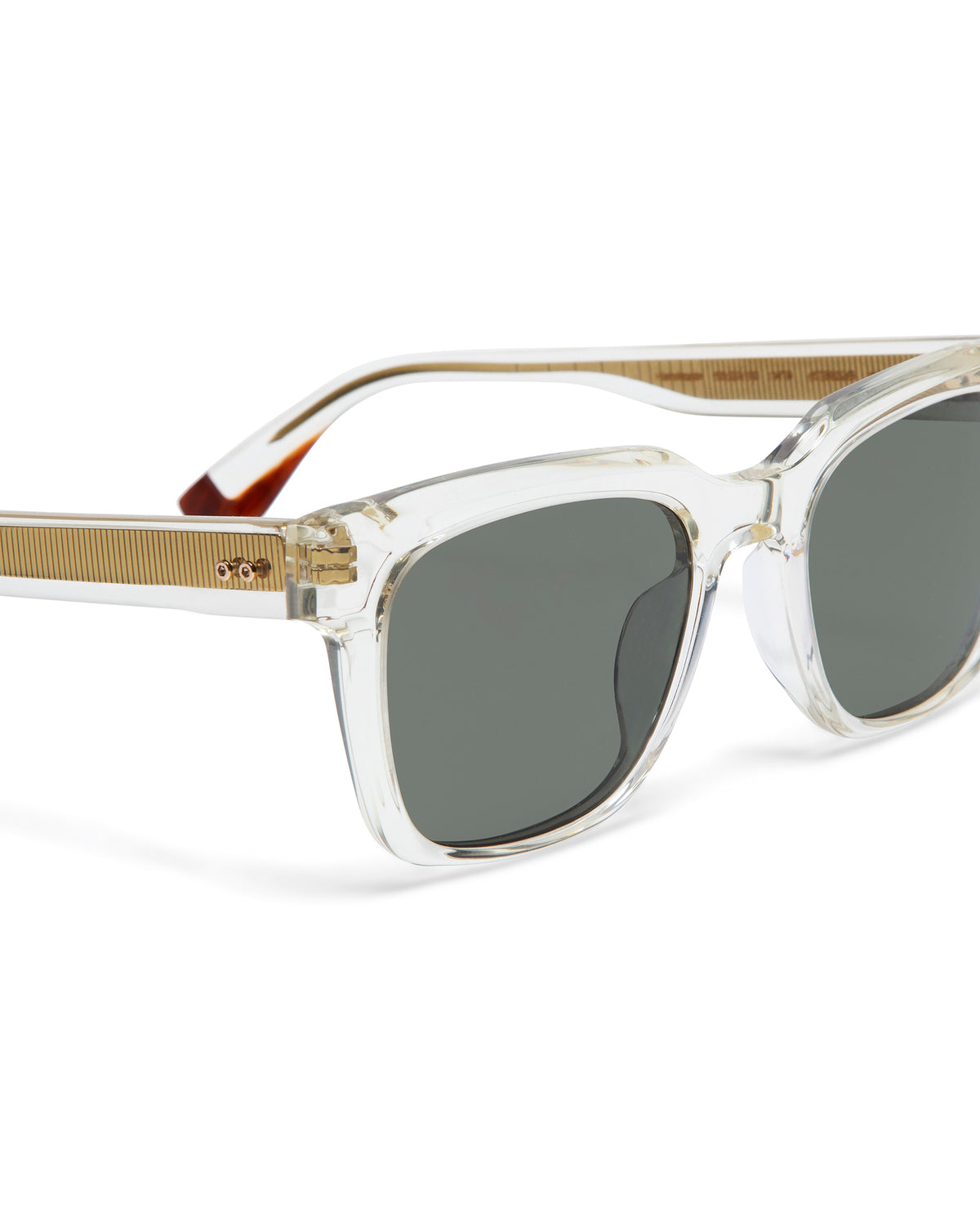 WRIGHT: Cuadrada Acetato Transparente sunglasses by GIGI STUDIOS 3183
