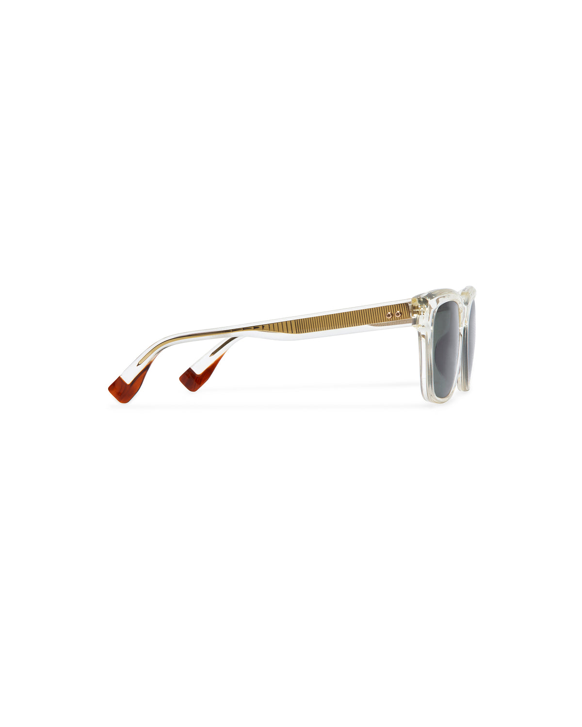 WRIGHT: Cuadrada Acetato Transparente sunglasses by GIGI STUDIOS 3184