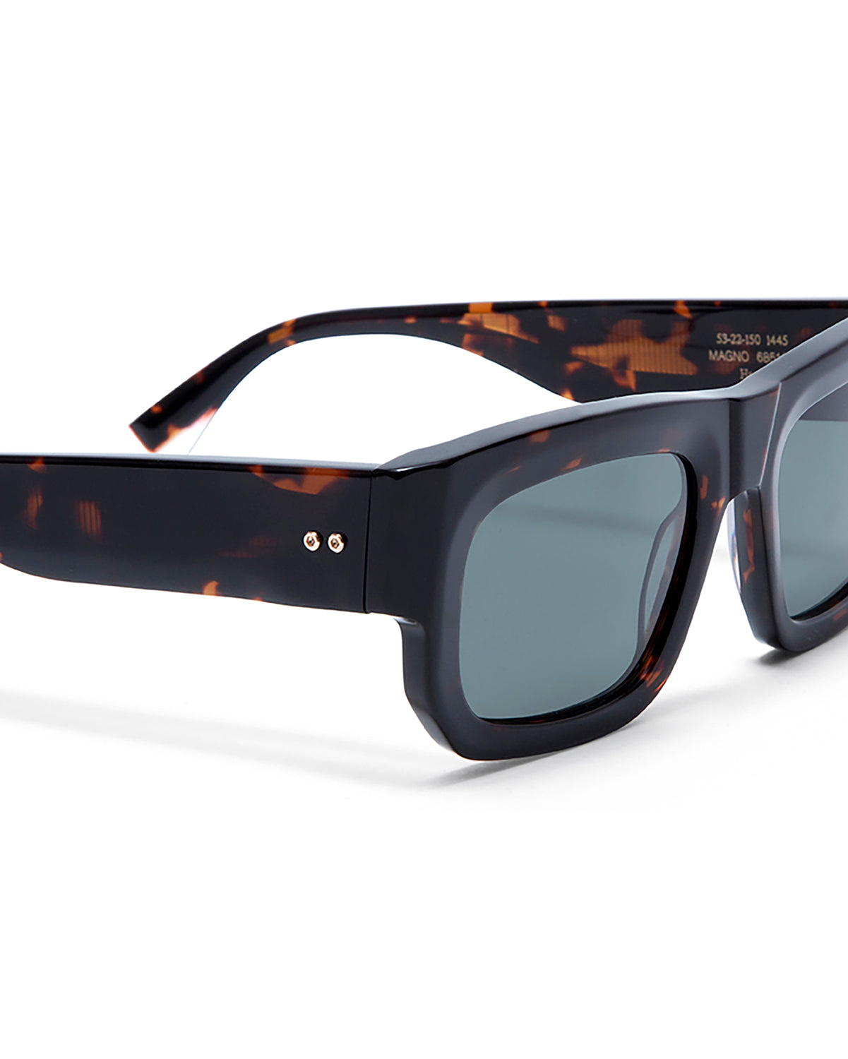 MAGNO: Rectangular Acetato Havana sunglasses by GIGI STUDIOS 5421