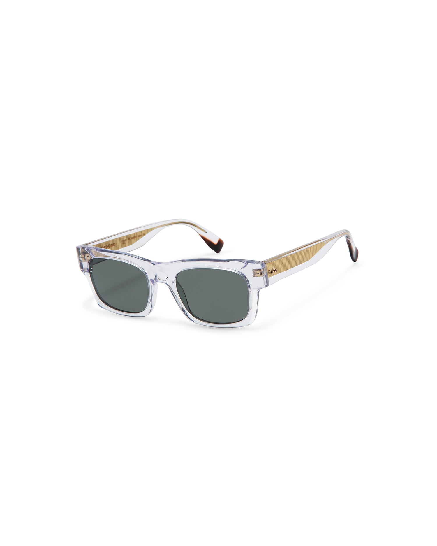 CHOPIN : Rectangular Acetato Transparente sunglasses by GIGI STUDIOS 6167