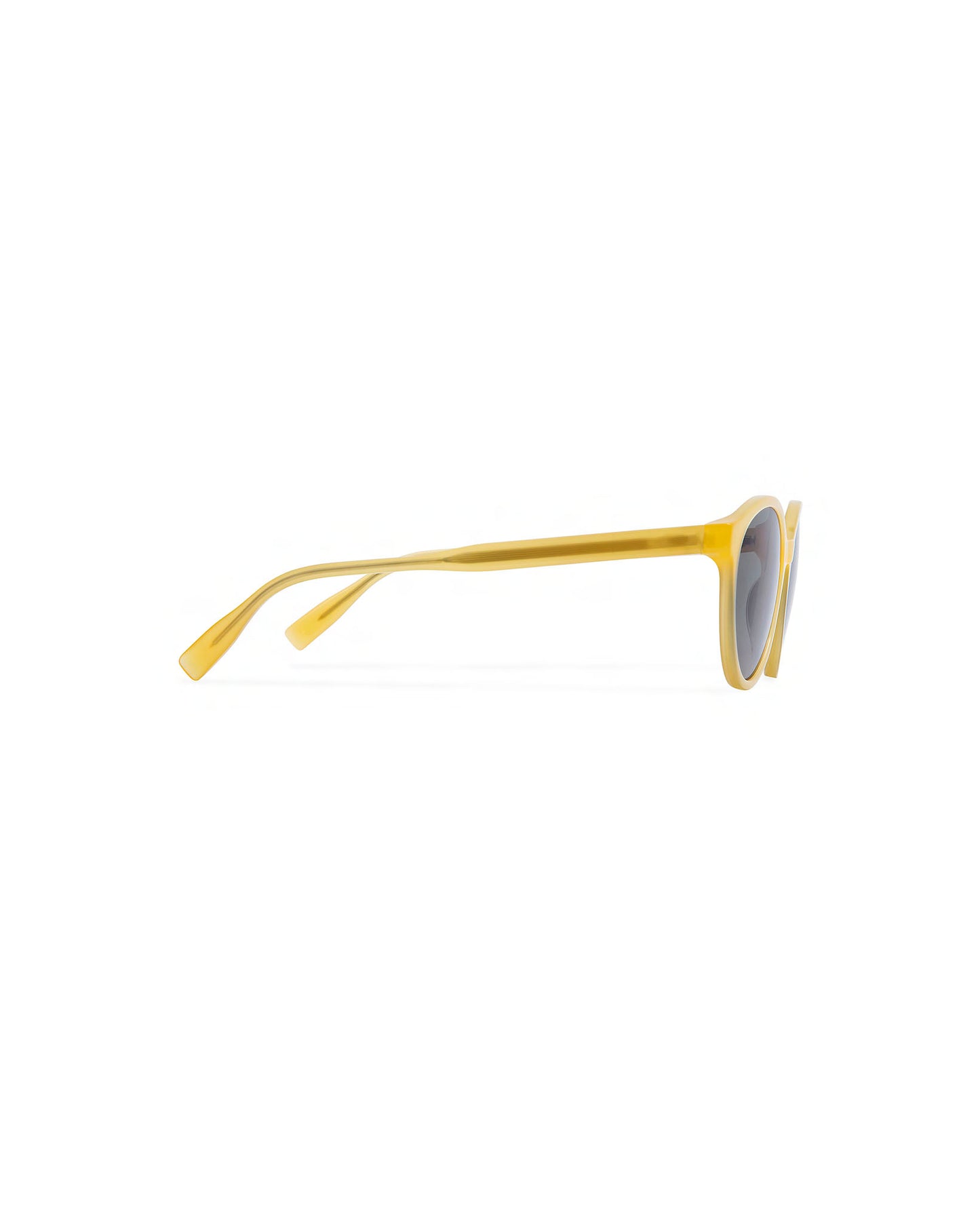 BROOKS: Redondas Acetato Jaune sunglasses by GIGI STUDIOS 600
