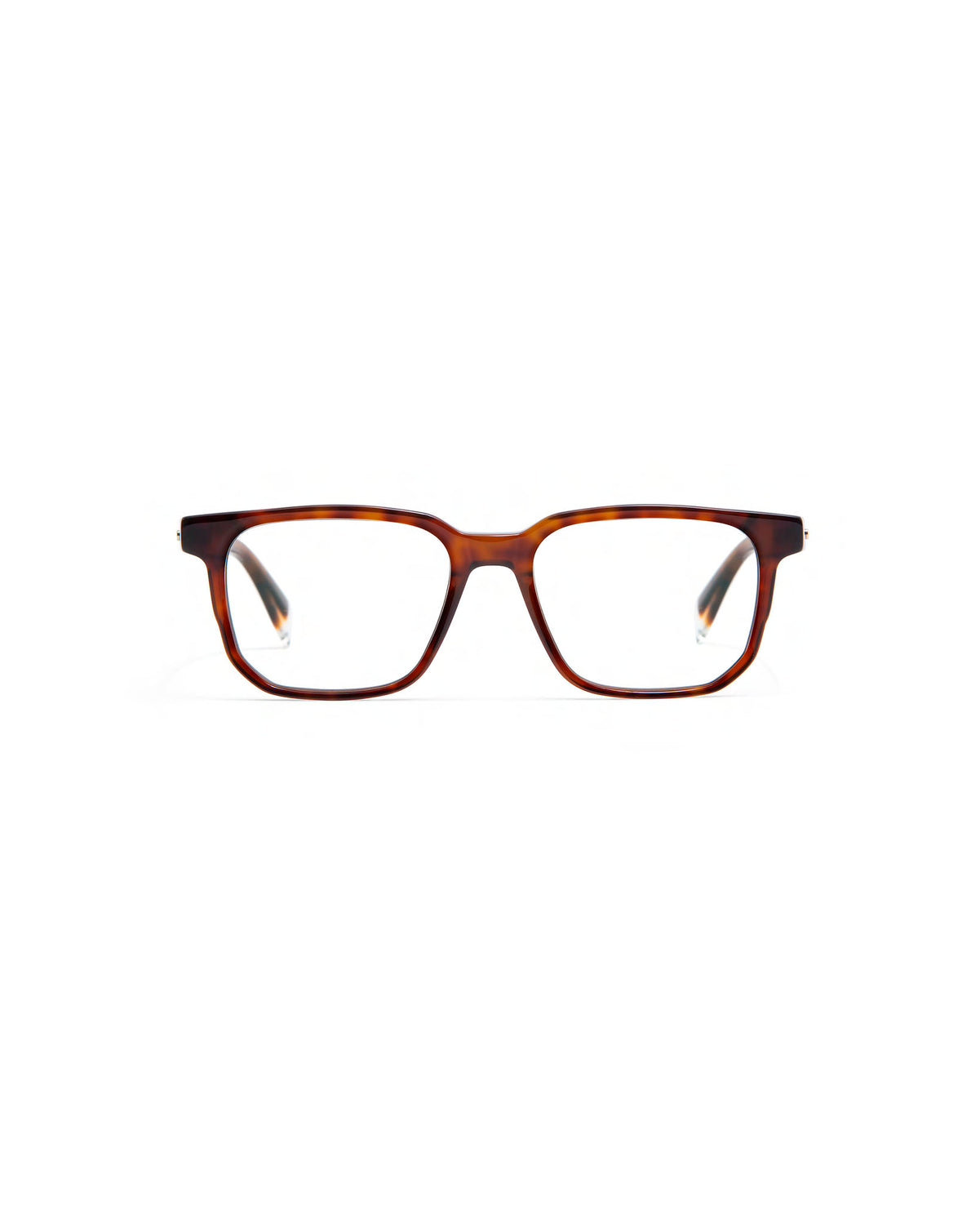 ENGELS: Cuadrada Acetato Havana optical glasses by GIGI STUDIOS 603