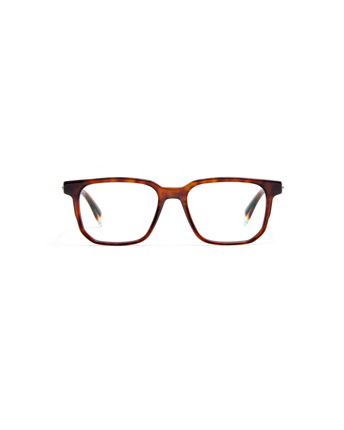 ENGELS: Cuadrada Acetato Havana optical glasses by GIGI STUDIOS 603