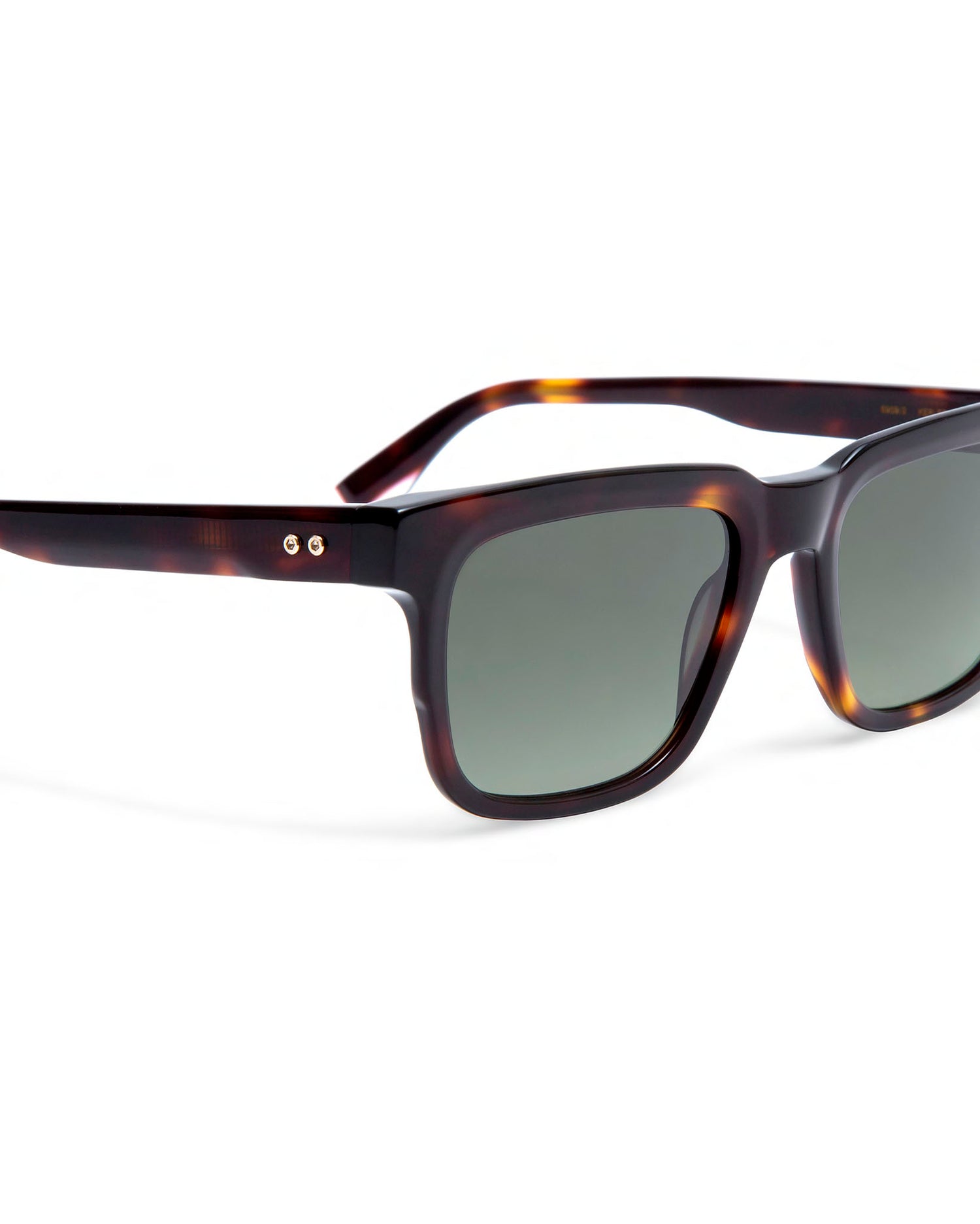 KEPLER: Cuadrada Acetato Havana sunglasses by GIGI STUDIOS 631