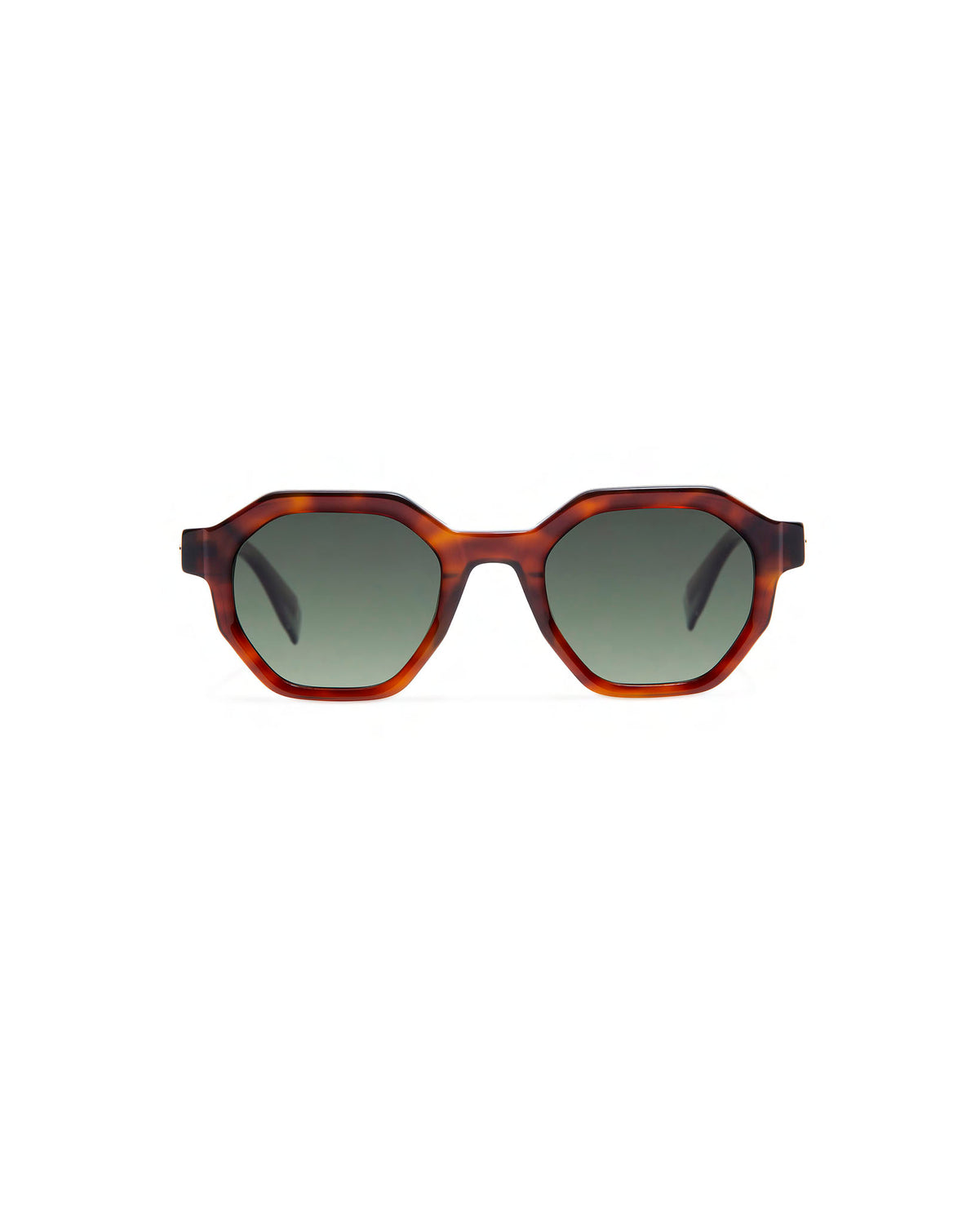 BENZ: Geométricas Acetato Havana sunglasses by GIGI STUDIOS 641