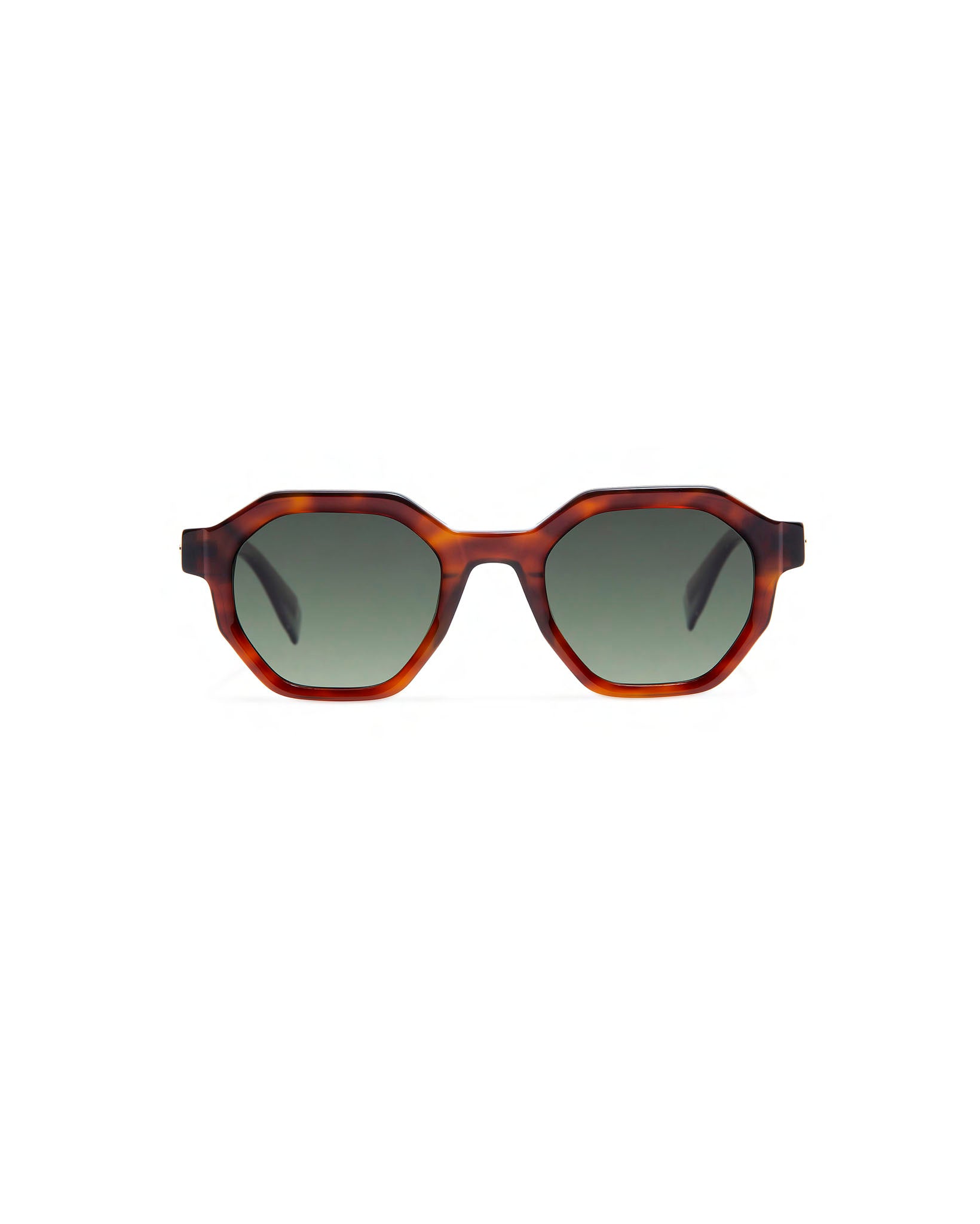 BENZ: Geométricas Acetato Havana sunglasses by GIGI STUDIOS 641