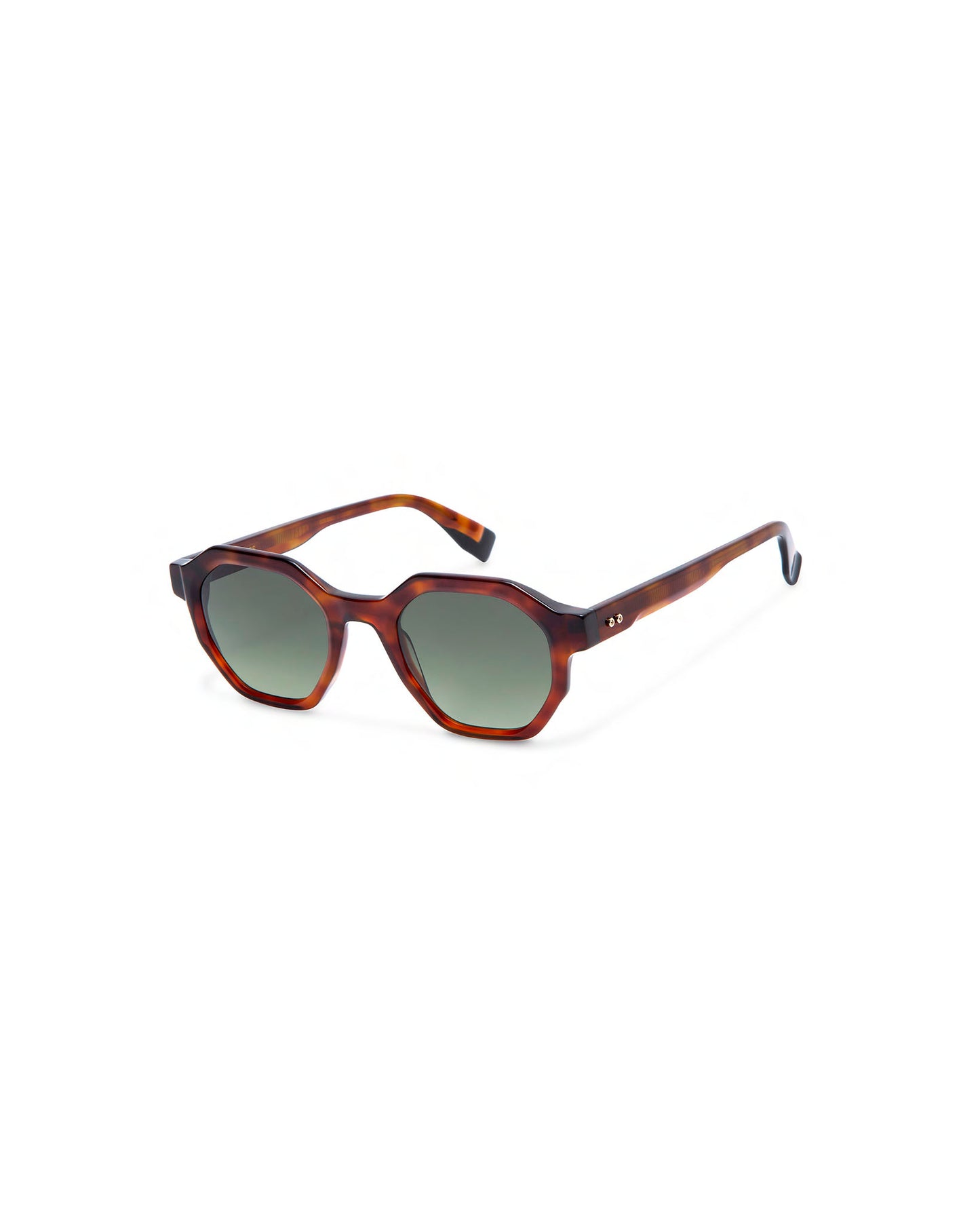 BENZ: Geométricas Acetato Havana sunglasses by GIGI STUDIOS 642