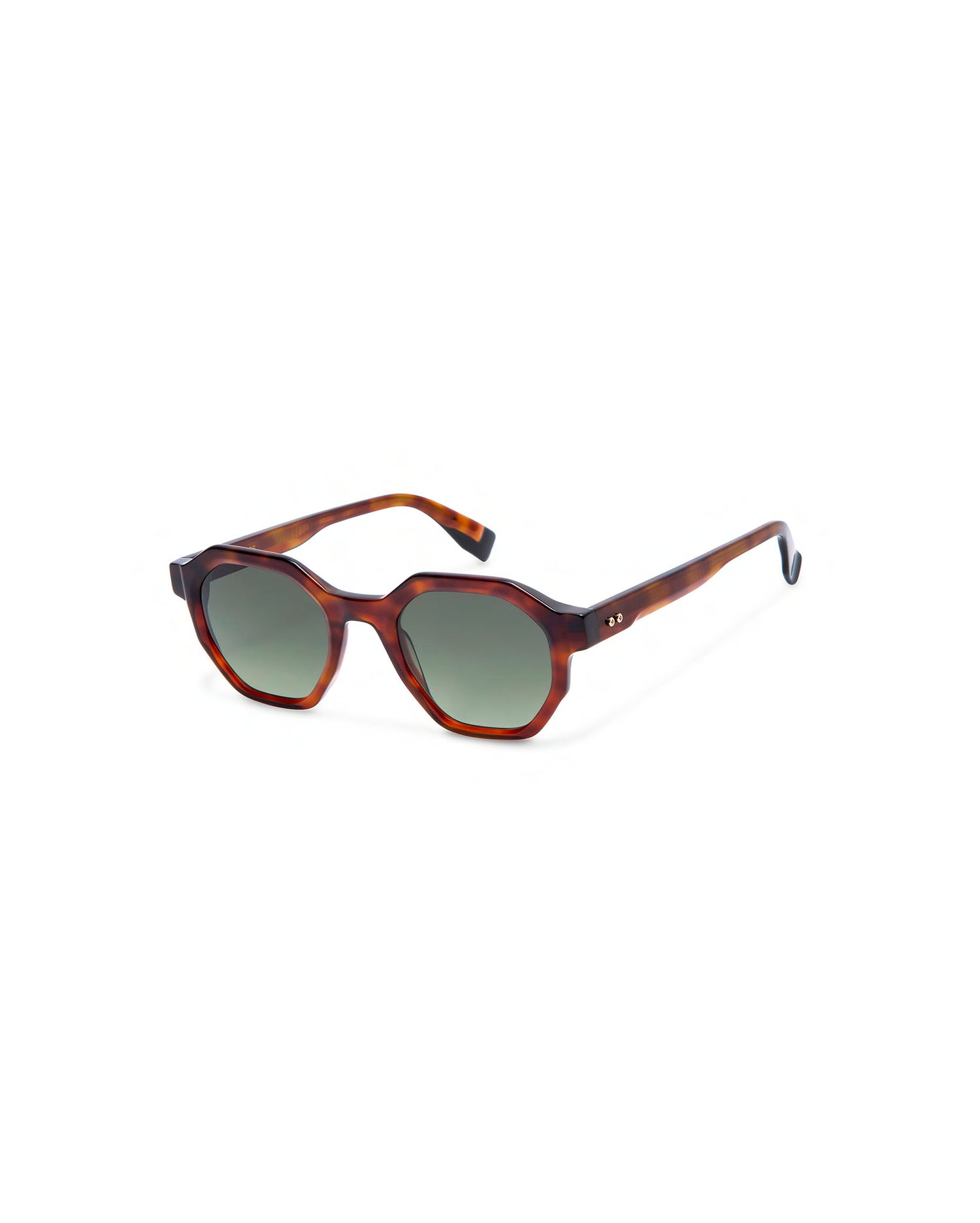 BENZ: Geométricas Acetato Havana sunglasses by GIGI STUDIOS 642