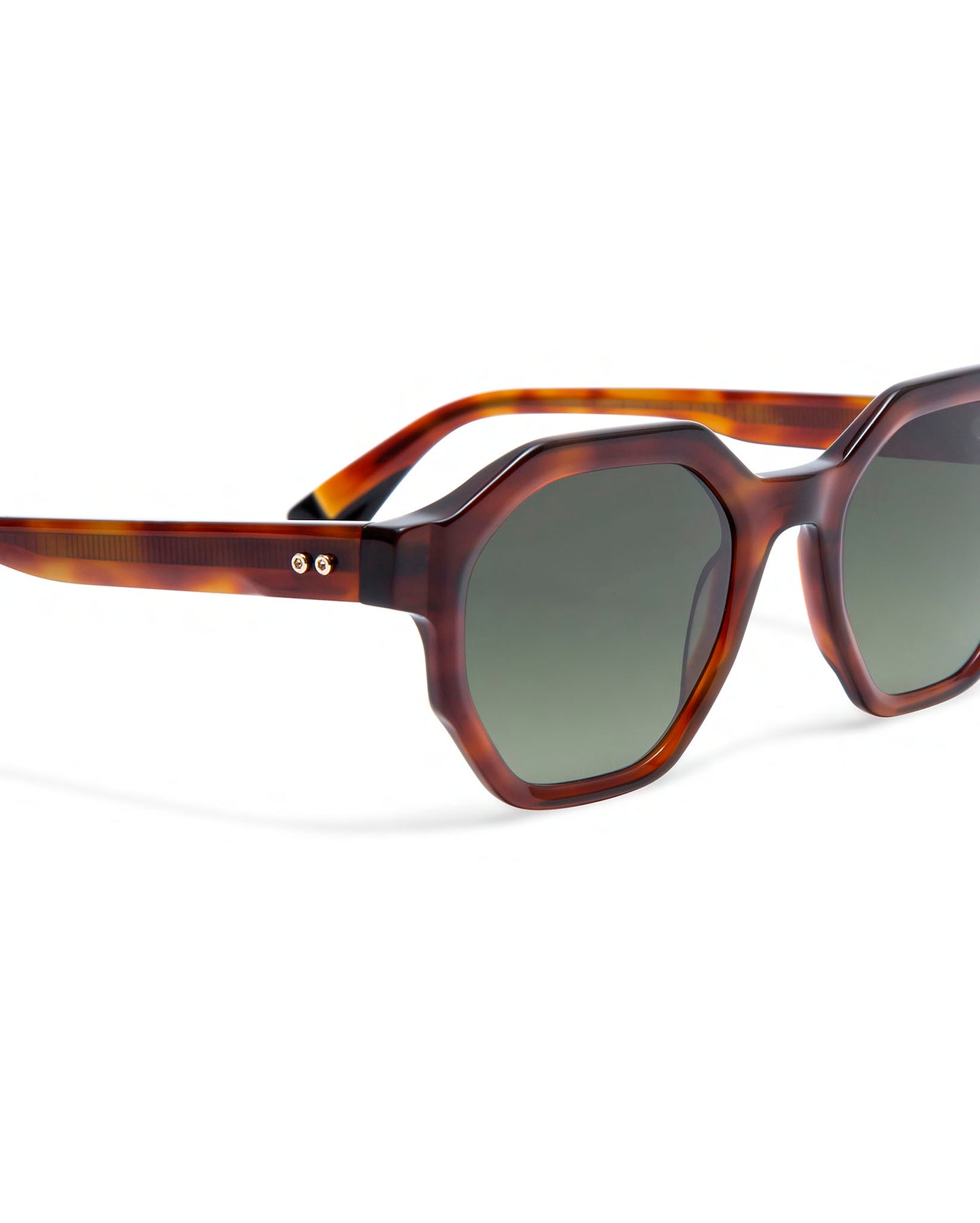 BENZ: Geométricas Acetato Havana sunglasses by GIGI STUDIOS 643