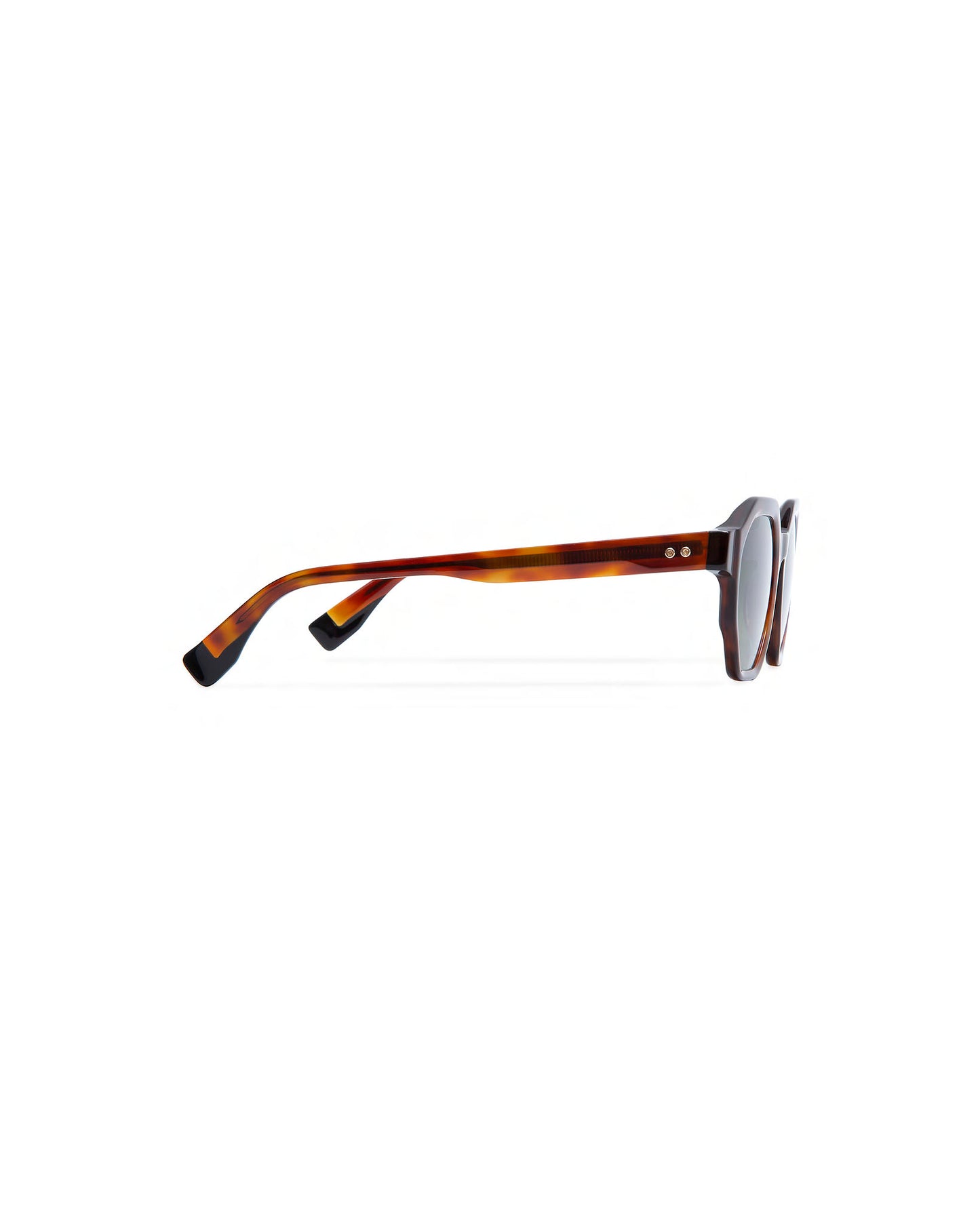 BENZ: Geométricas Acetato Havana sunglasses by GIGI STUDIOS 644