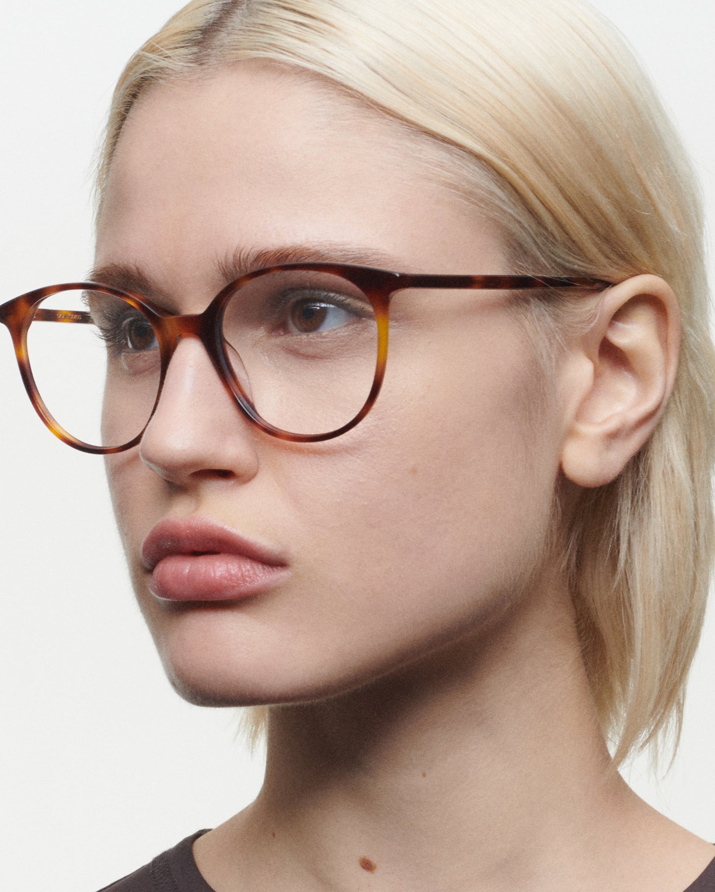 FLAVIA: Redondas Acetato Havana optical glasses by GIGI STUDIOS 3688
