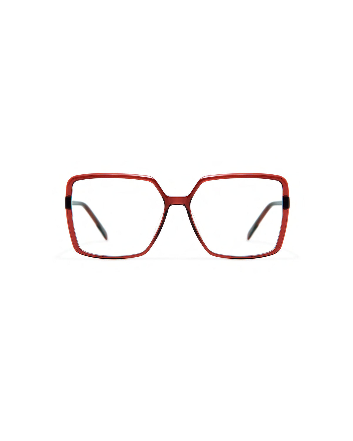 LENKA: Cuadrada Acetato Marrón optical glasses by GIGI STUDIOS 4082