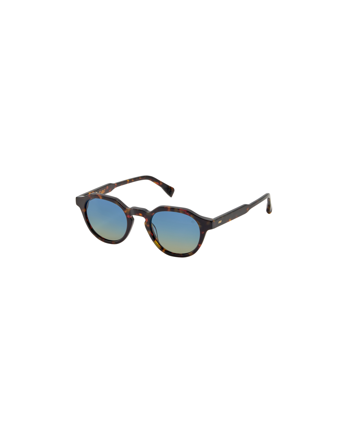 CARLO: Redondas Acetato Havana sunglasses by ATLANT 9217