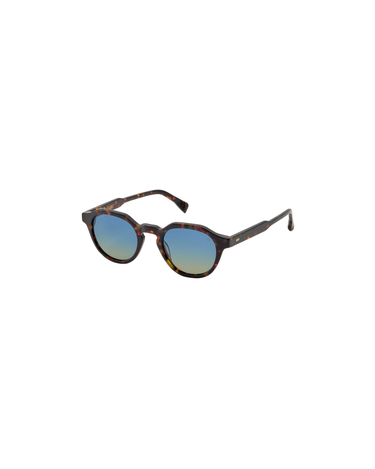 CARLO: Redondas Acetato Havana sunglasses by ATLANT 9217