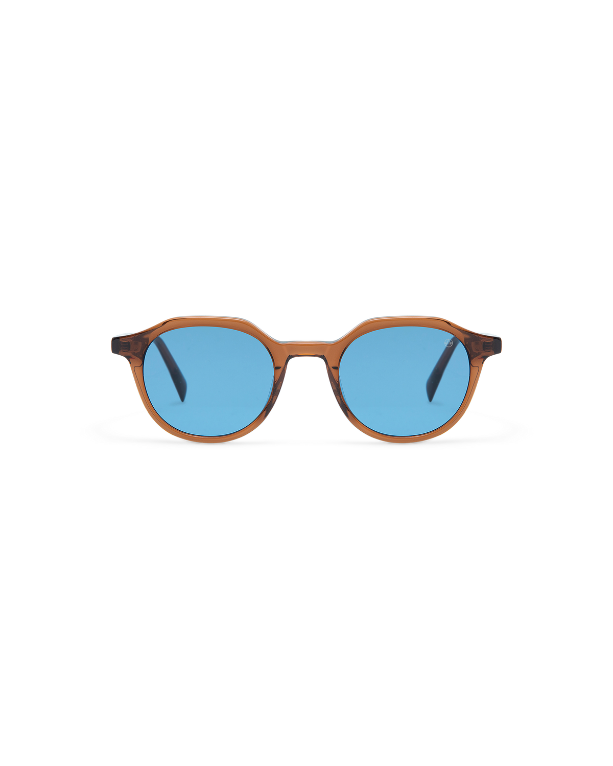 CARVER: Redondas Acetato Marrón sunglasses by ATLANT 11159