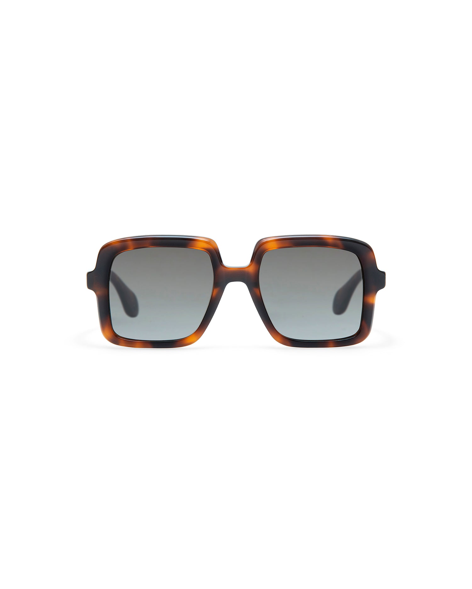 THRIVE 018: Cuadrada Acetato Havana sunglasses by GIGI STUDIOS 7333