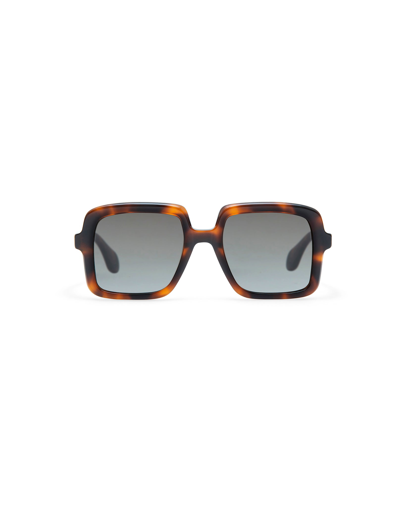 THRIVE 018: Cuadrada Acetato Havana sunglasses by GIGI STUDIOS 7333