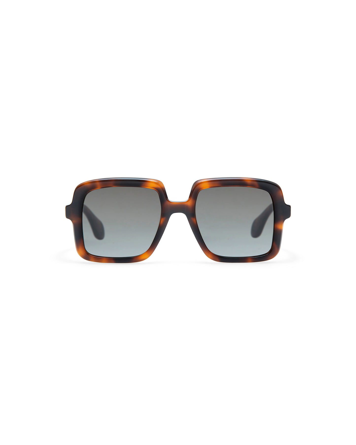 THRIVE 018: Cuadrada Acetato Havana sunglasses by GIGI STUDIOS 7333
