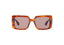 THRIVE 019: Cuadrada Acetato Havana sunglasses by GIGI STUDIOS 7341