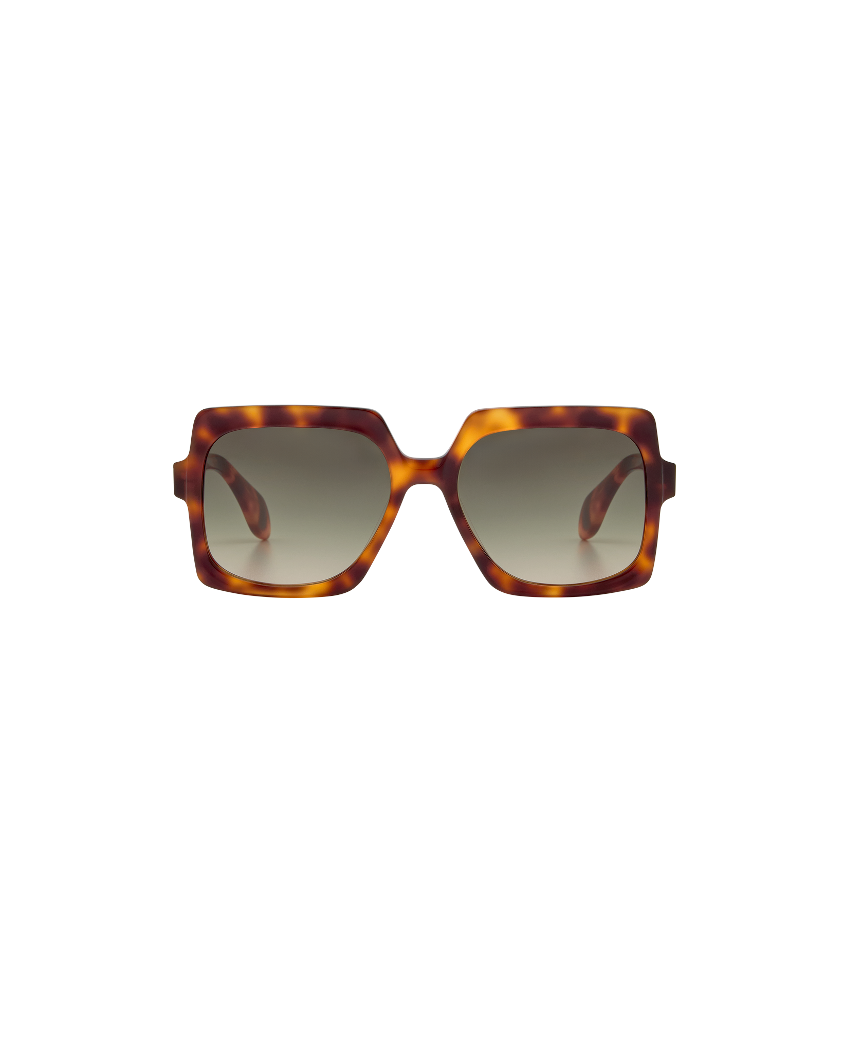 ELINA: Cuadrada Acetato Havana sunglasses by GIGI STUDIOS 8358