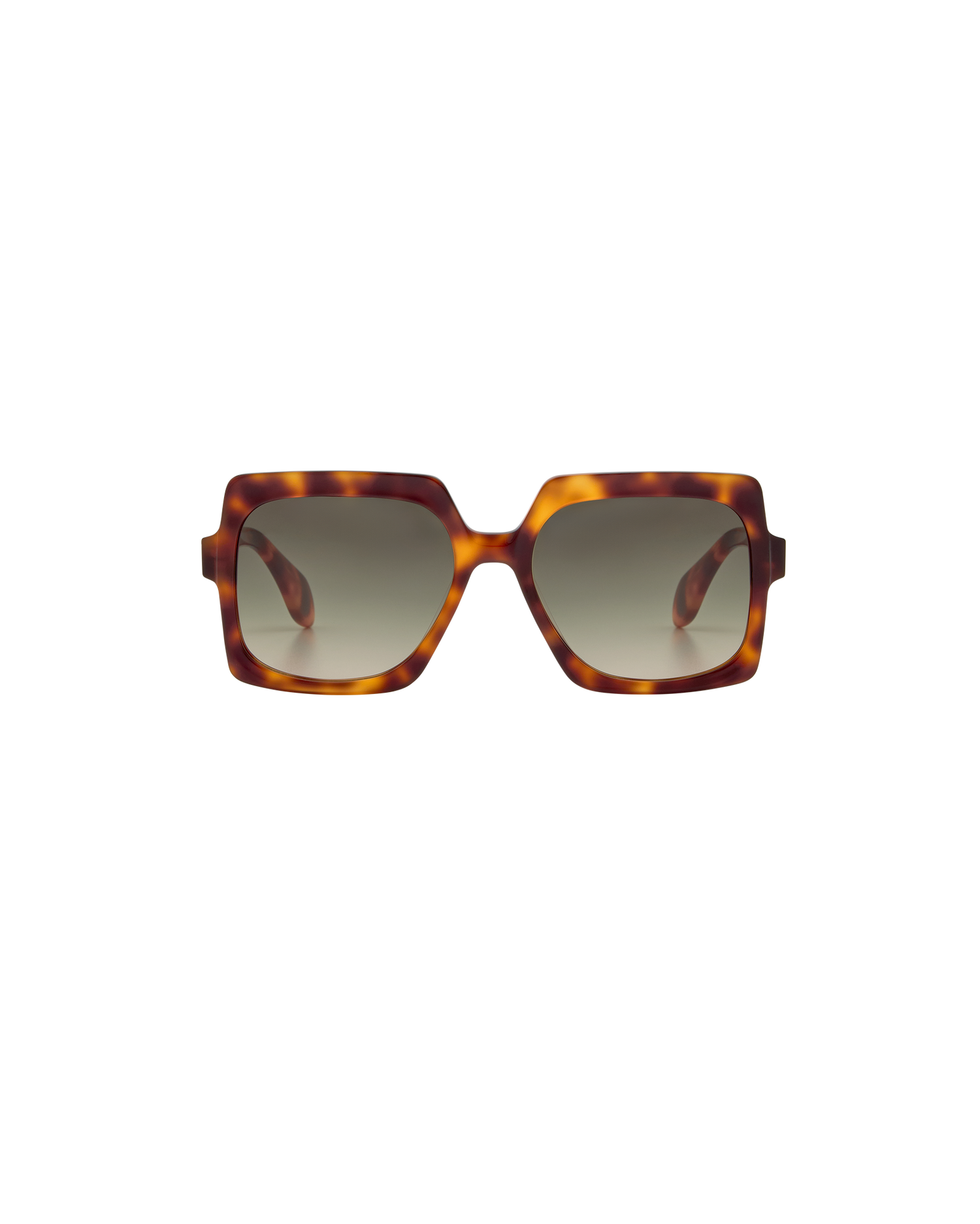 ELINA: Cuadrada Acetato Havana sunglasses by GIGI STUDIOS 8358