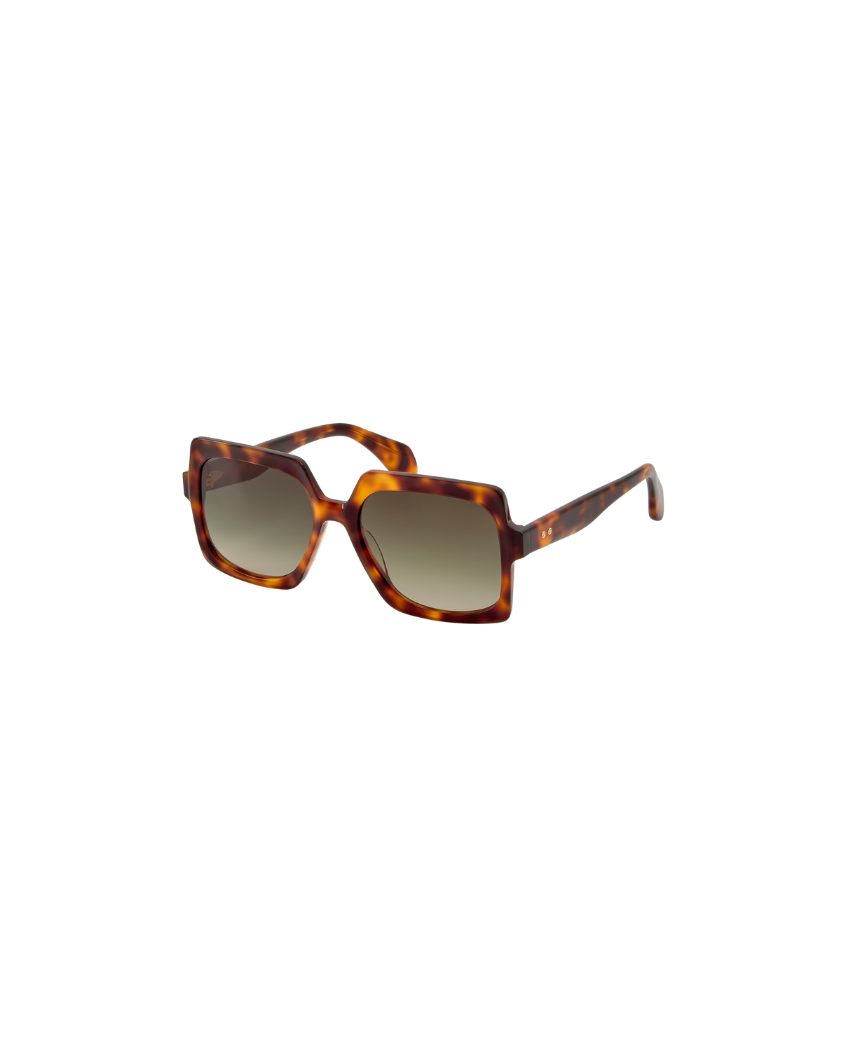 ELINA: Cuadrada Acetato Havana sunglasses by GIGI STUDIOS 8754