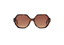 MAVIE: Geométricas Acetato Havana sunglasses by GIGI STUDIOS 8366