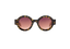 MIREA: Redondas Acetato Havana sunglasses by GIGI STUDIOS 8375