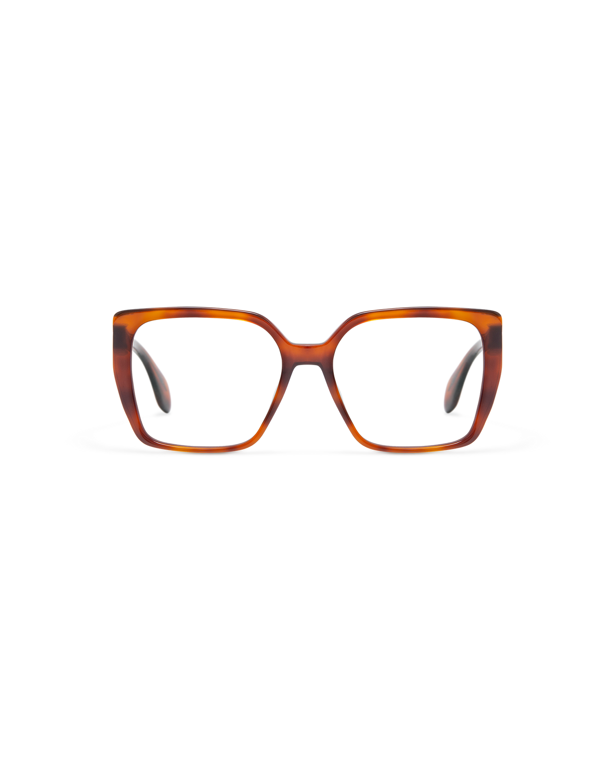 MOSS: Cat Eye Acetato Havana optical glasses by GIGI STUDIOS 9848