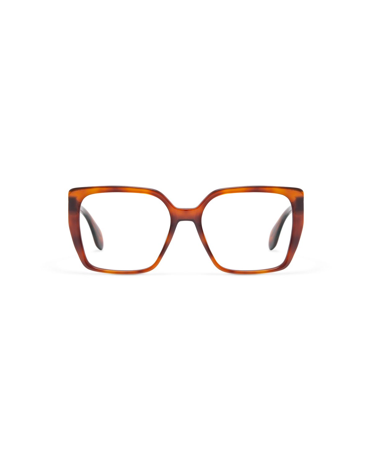 MOSS: Cat Eye Acetato Havana optical glasses by GIGI STUDIOS 9848
