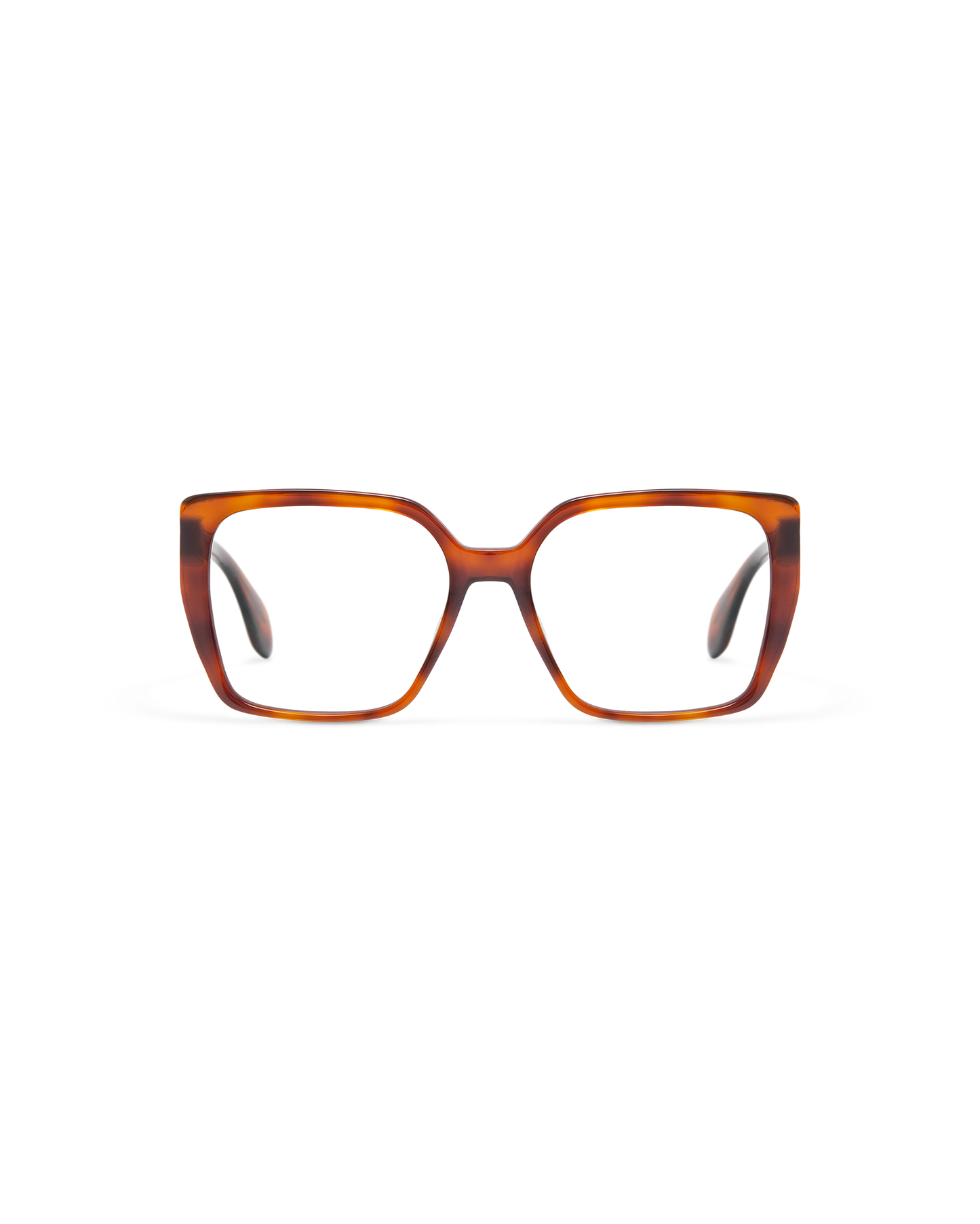 MOSS: Cat Eye Acetato Havana optical glasses by GIGI STUDIOS 9848