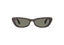 BRUME: Tiny Acetato Marrón sunglasses by GIGI STUDIOS 9865