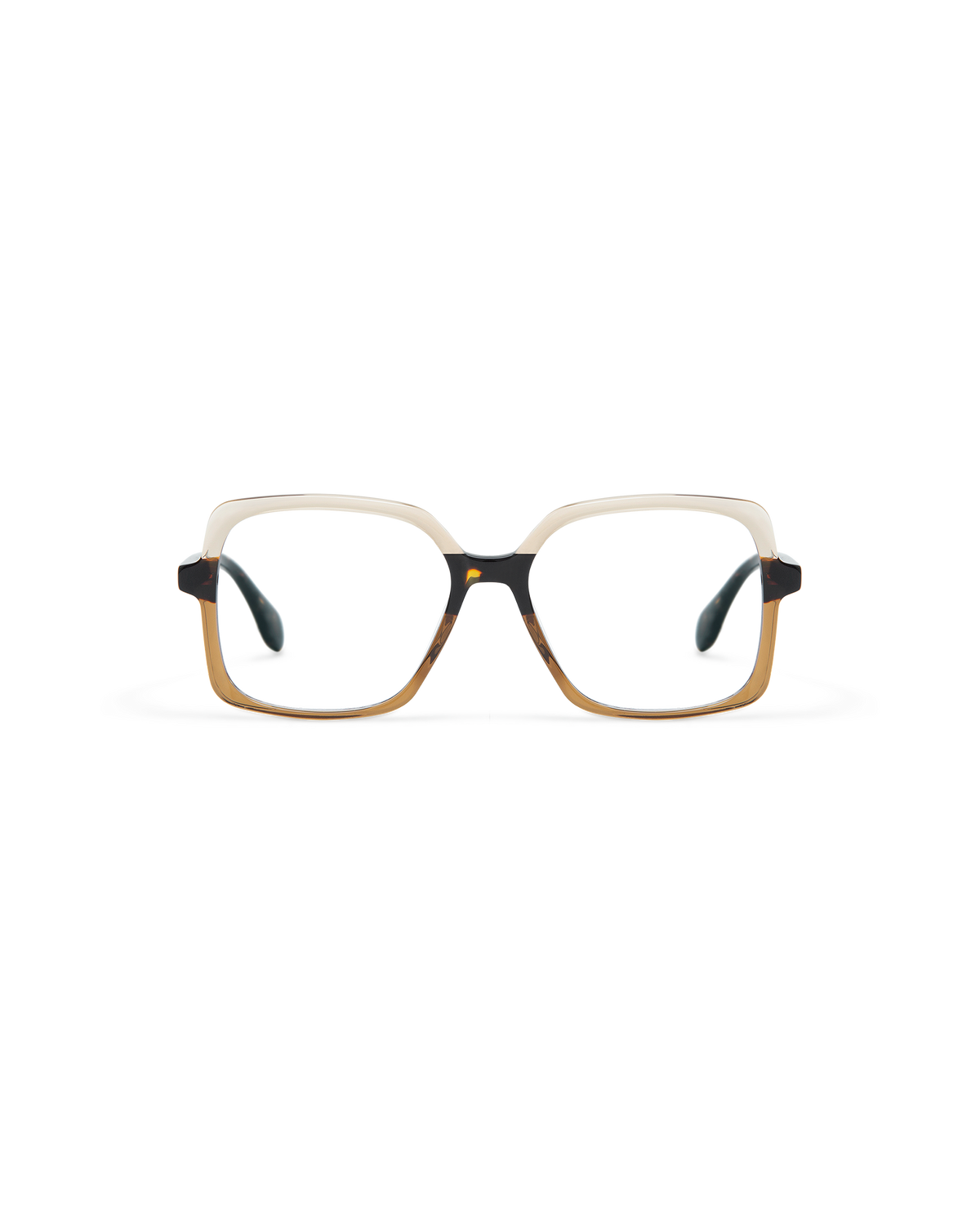 ARMINA: Cuadrada Acetato Marrón optical glasses by GIGI STUDIOS 10601